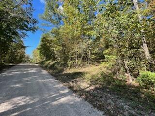 000 County Road 118 Property Photo 26