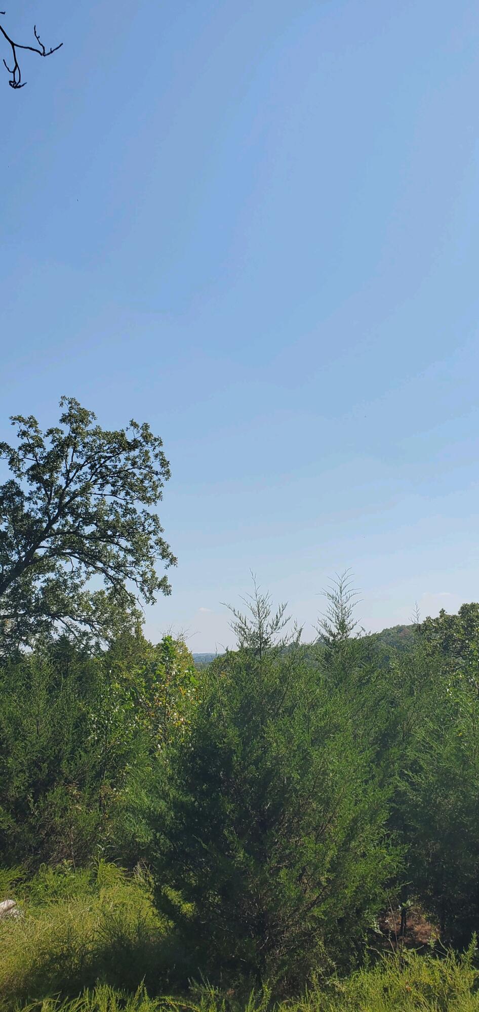 Lot 3 Property Photo 2