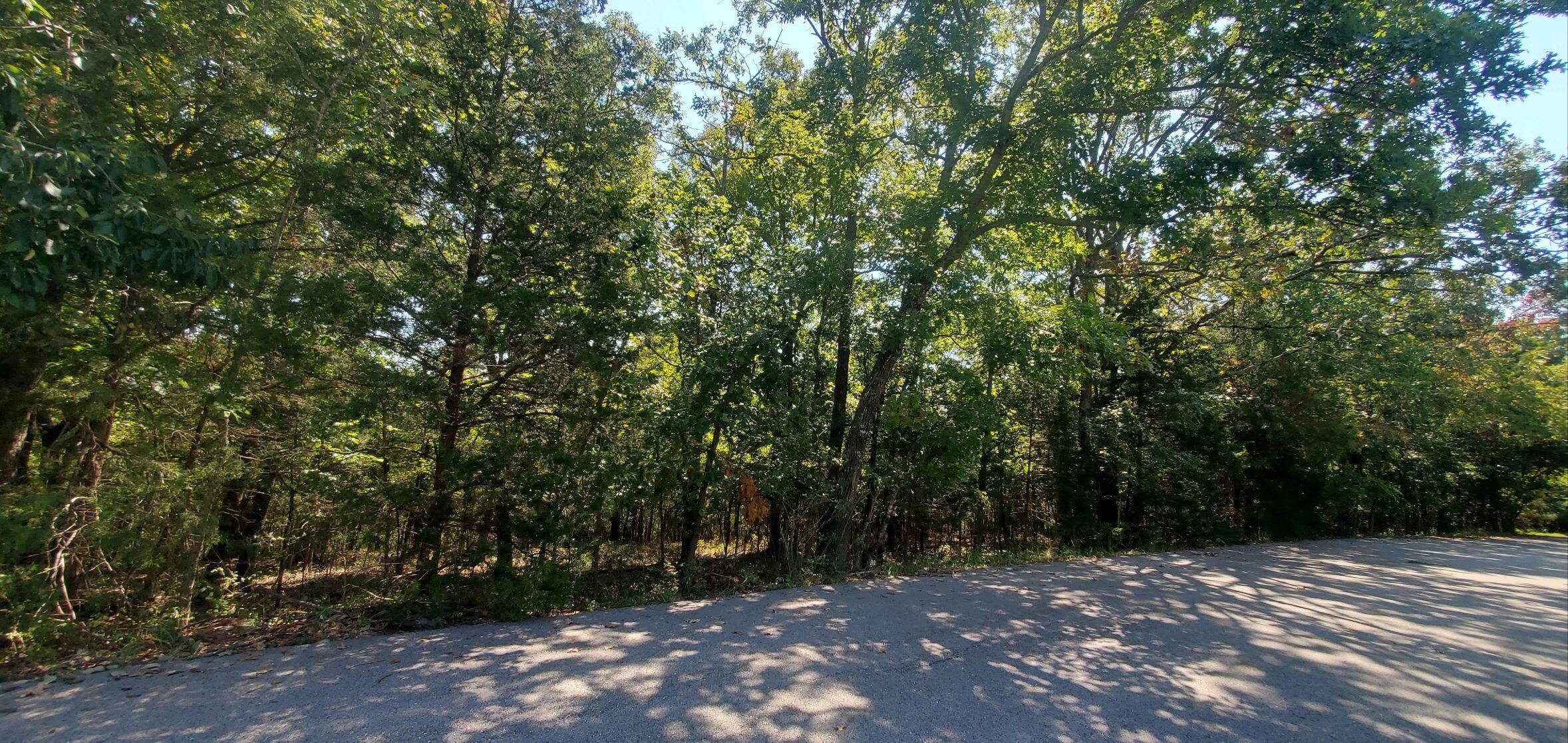Lot 3 Property Photo 3