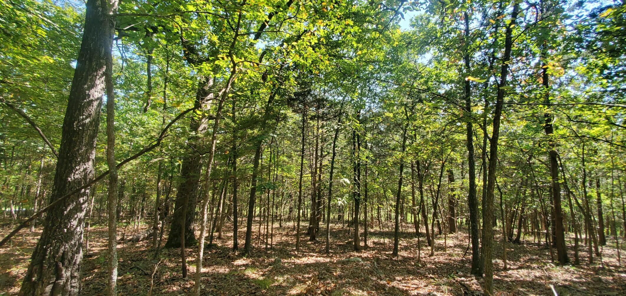 Lot 3 Property Photo 4