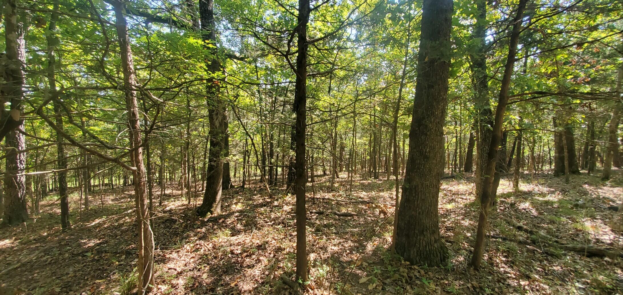 Lot 3 Property Photo 5