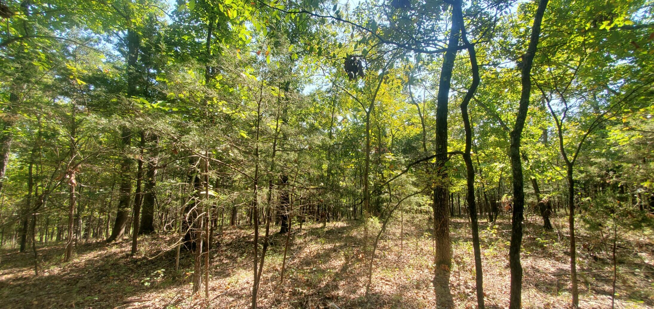 Lot 3 Property Photo 7