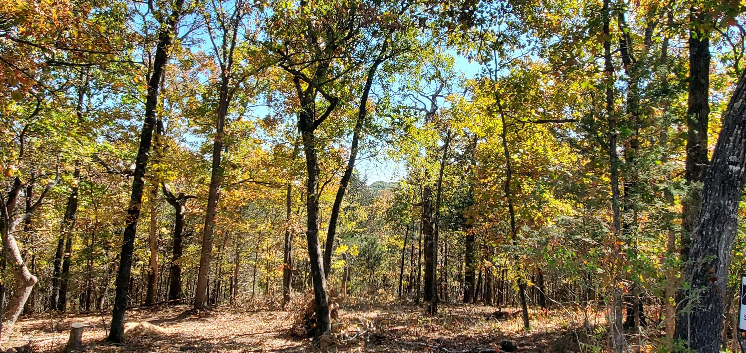 Lot 3 Property Photo 8