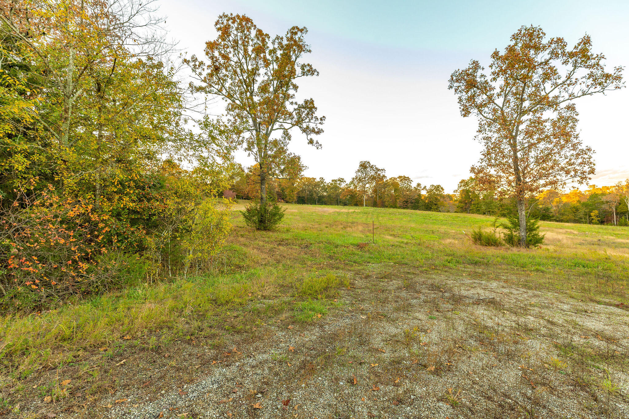 0 Golden Bay Estates Property Photo 16