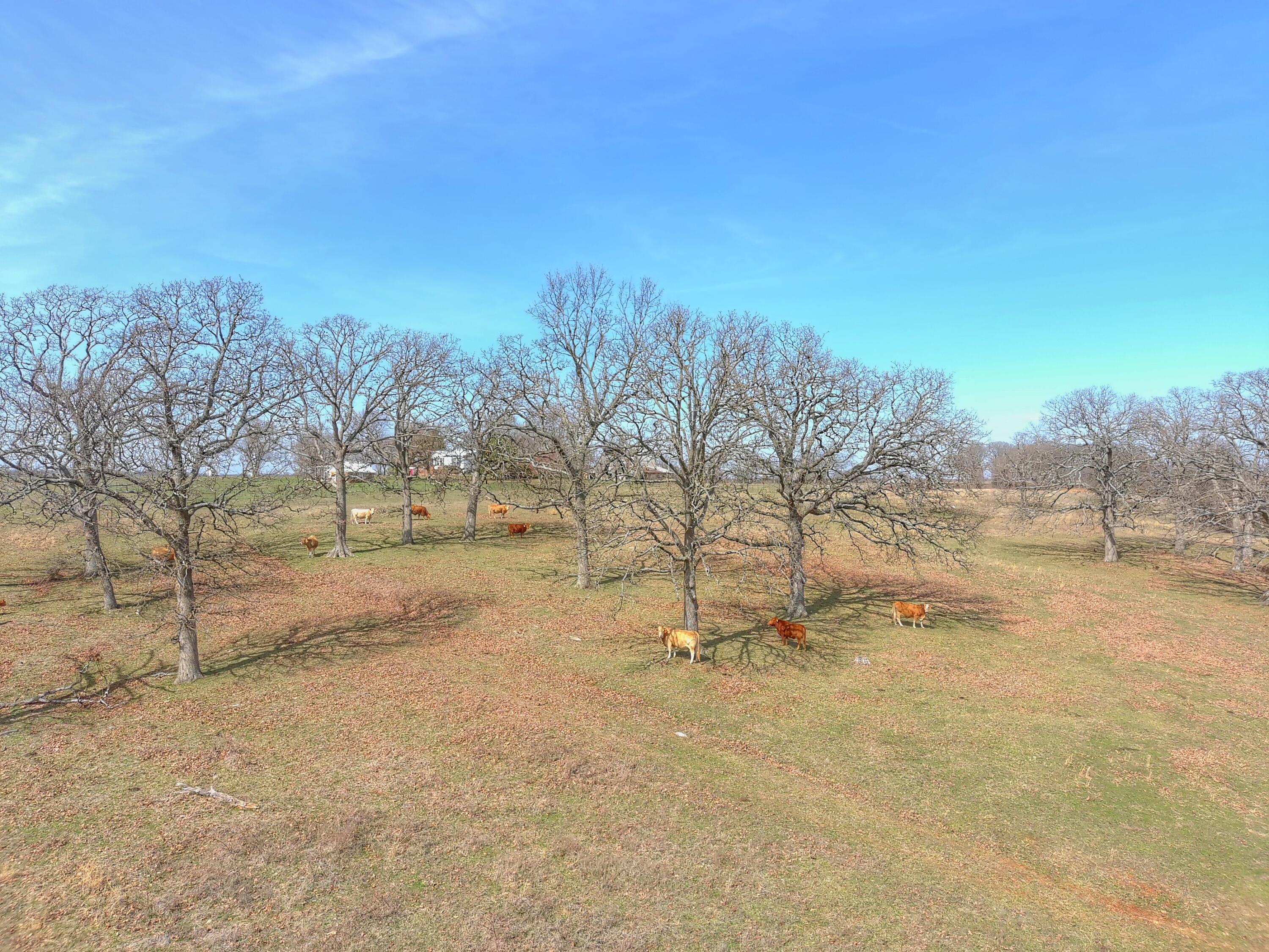 0000 South 1475th Road Tract 2 Property Photo 8