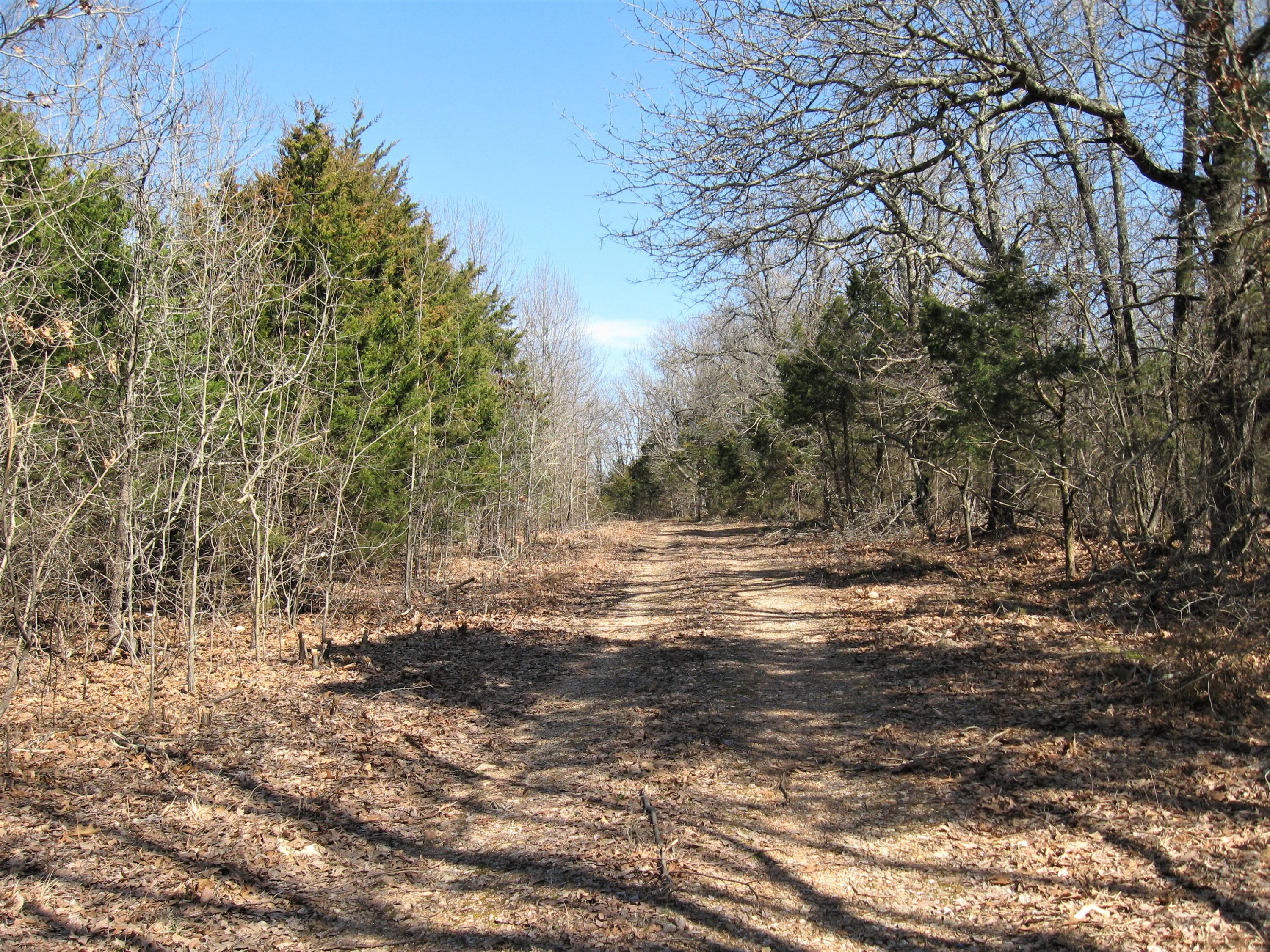 17650 Superior Road Road Property Photo 2