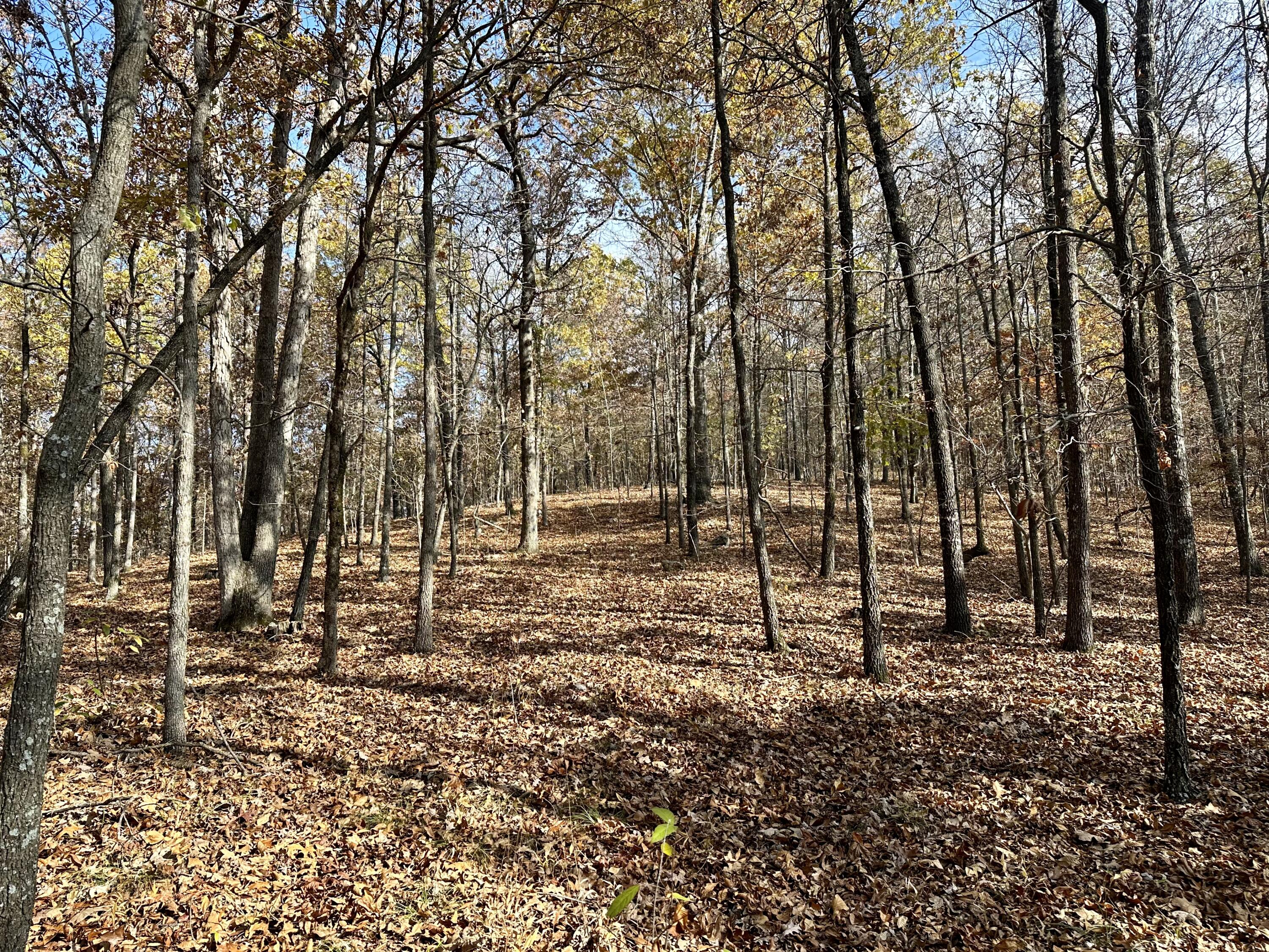 000 Route Z Highway Property Photo 3