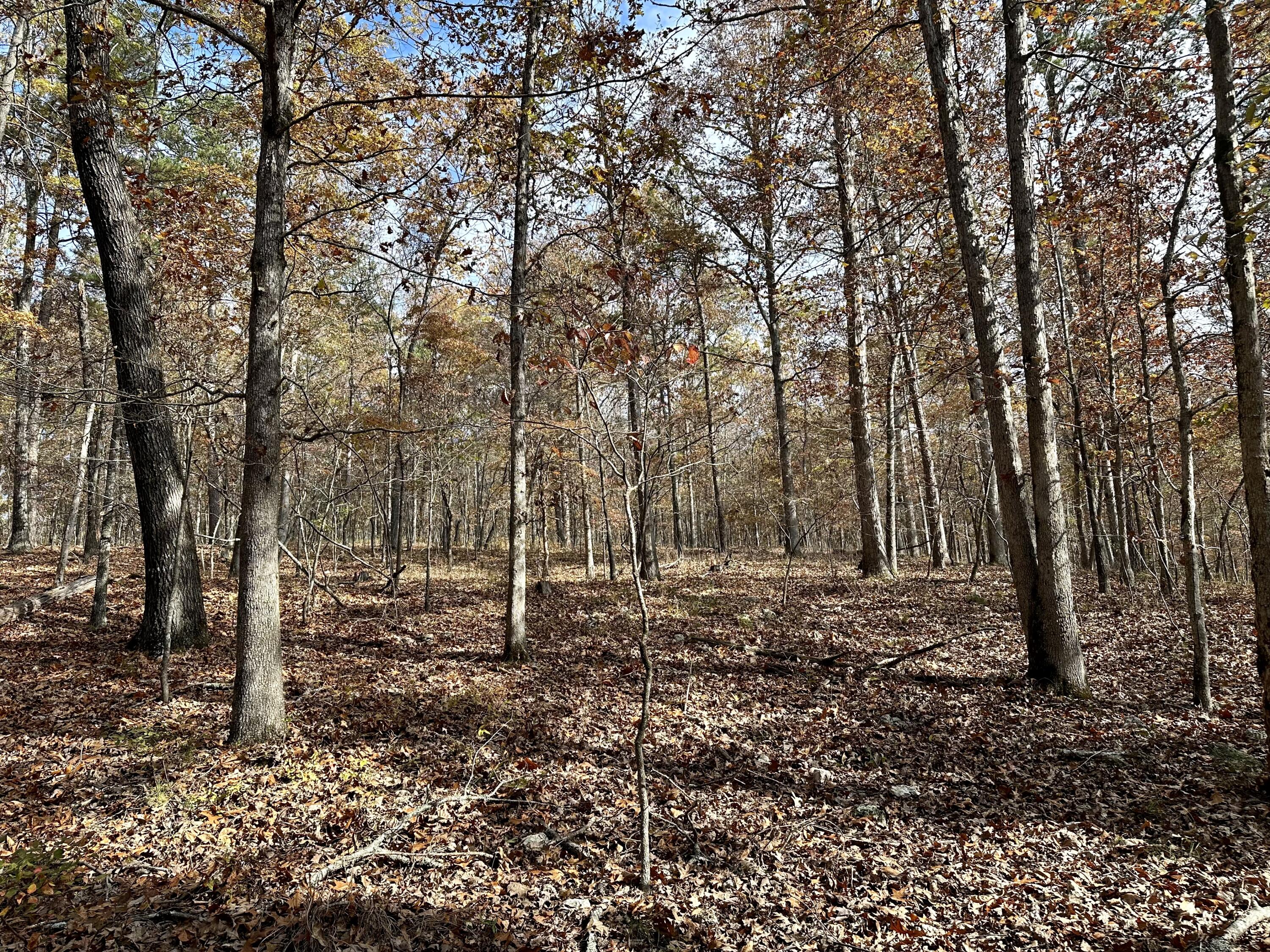 000 Route Z Highway Property Photo 4