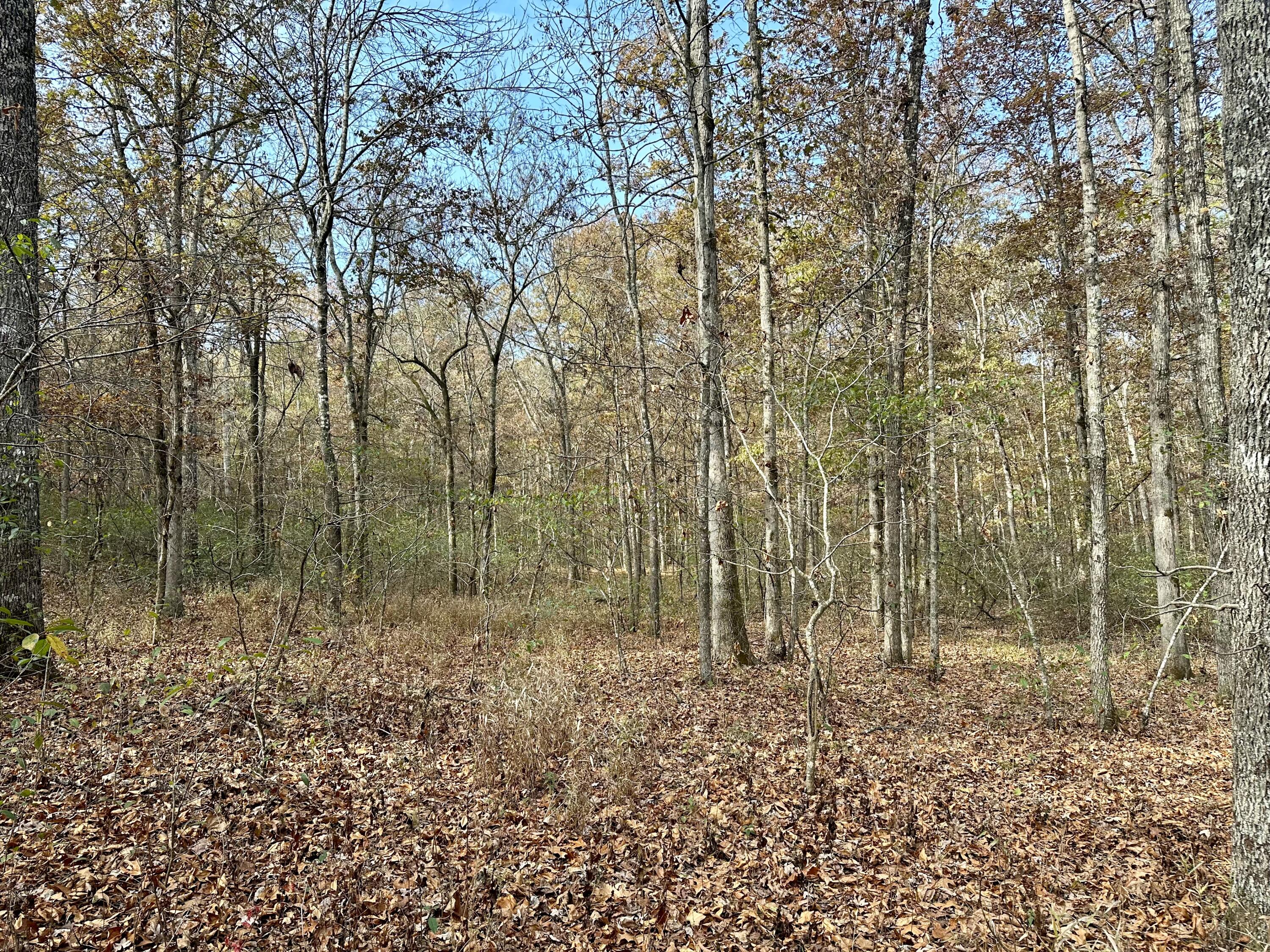 000 Route Z Highway Property Photo 9
