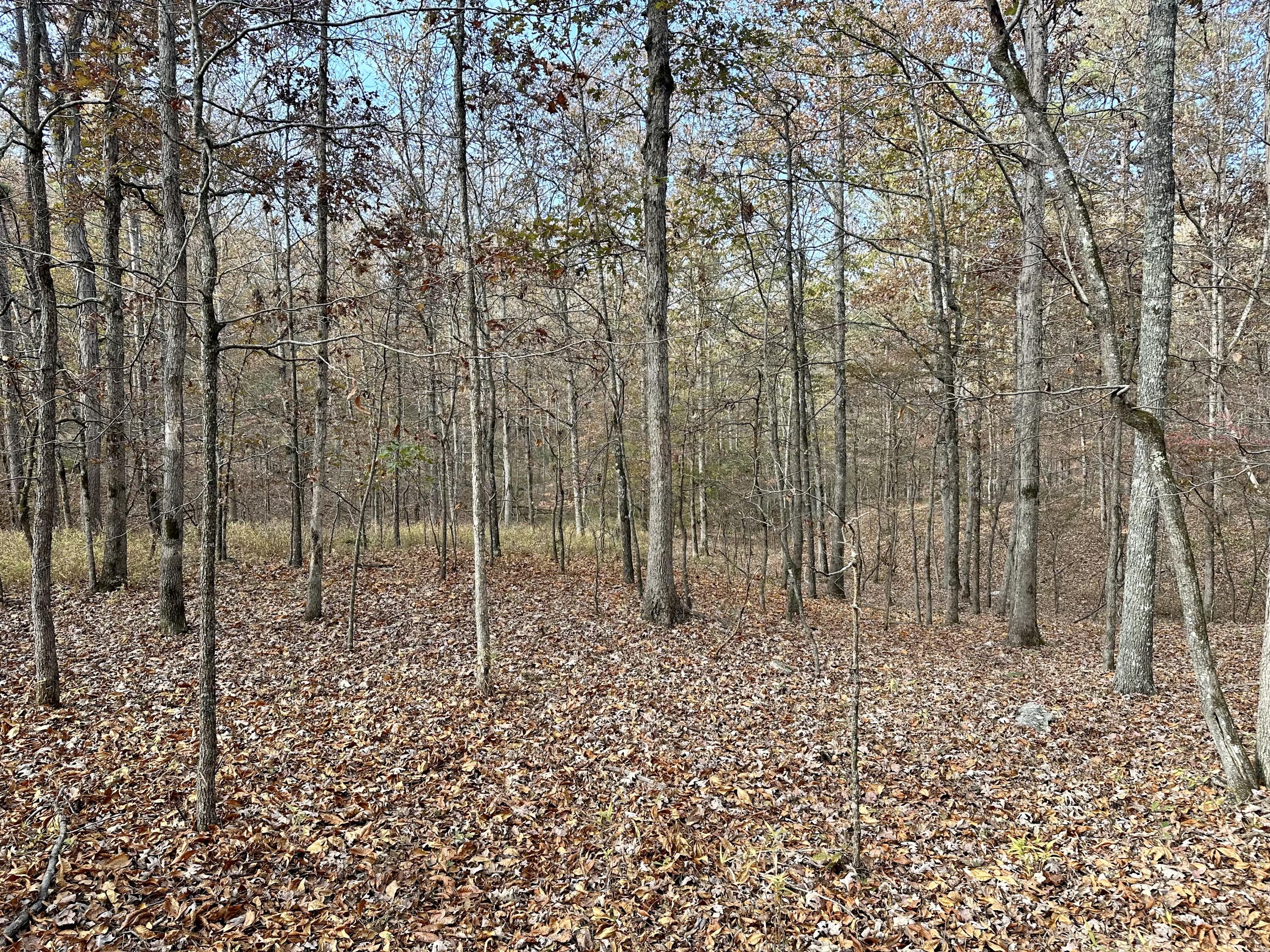000 Route Z Highway Property Photo 10