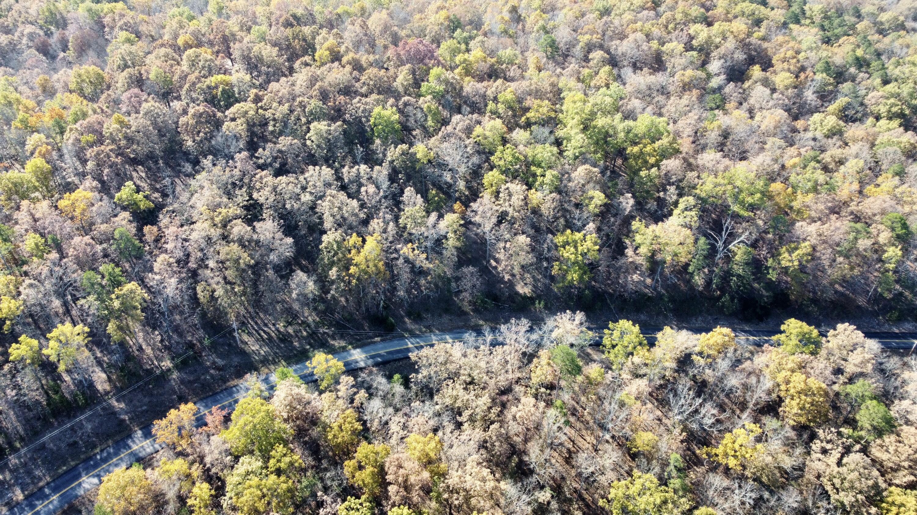 000 Route Z Highway Property Photo 13