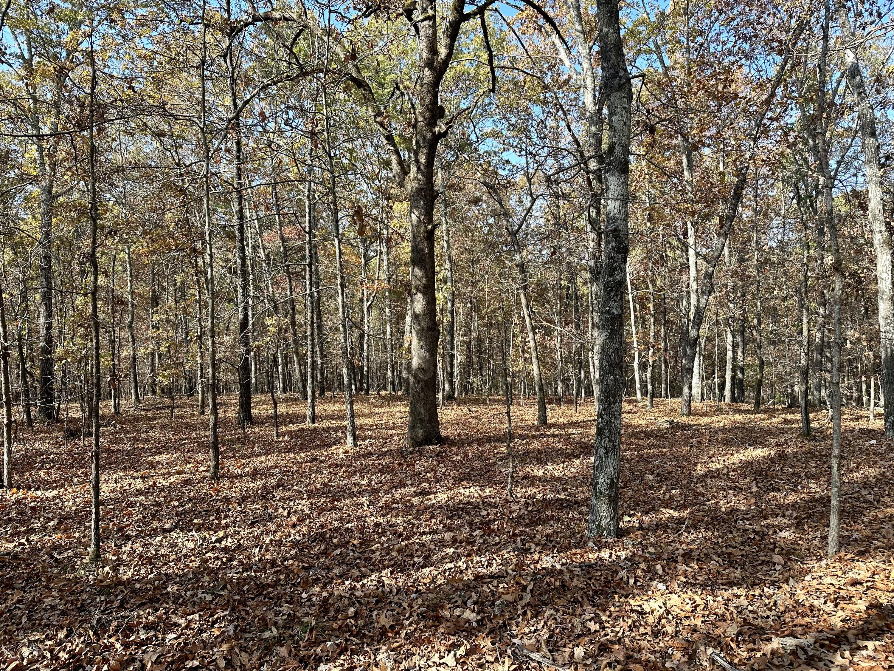 000 Z Highway Property Photo 2