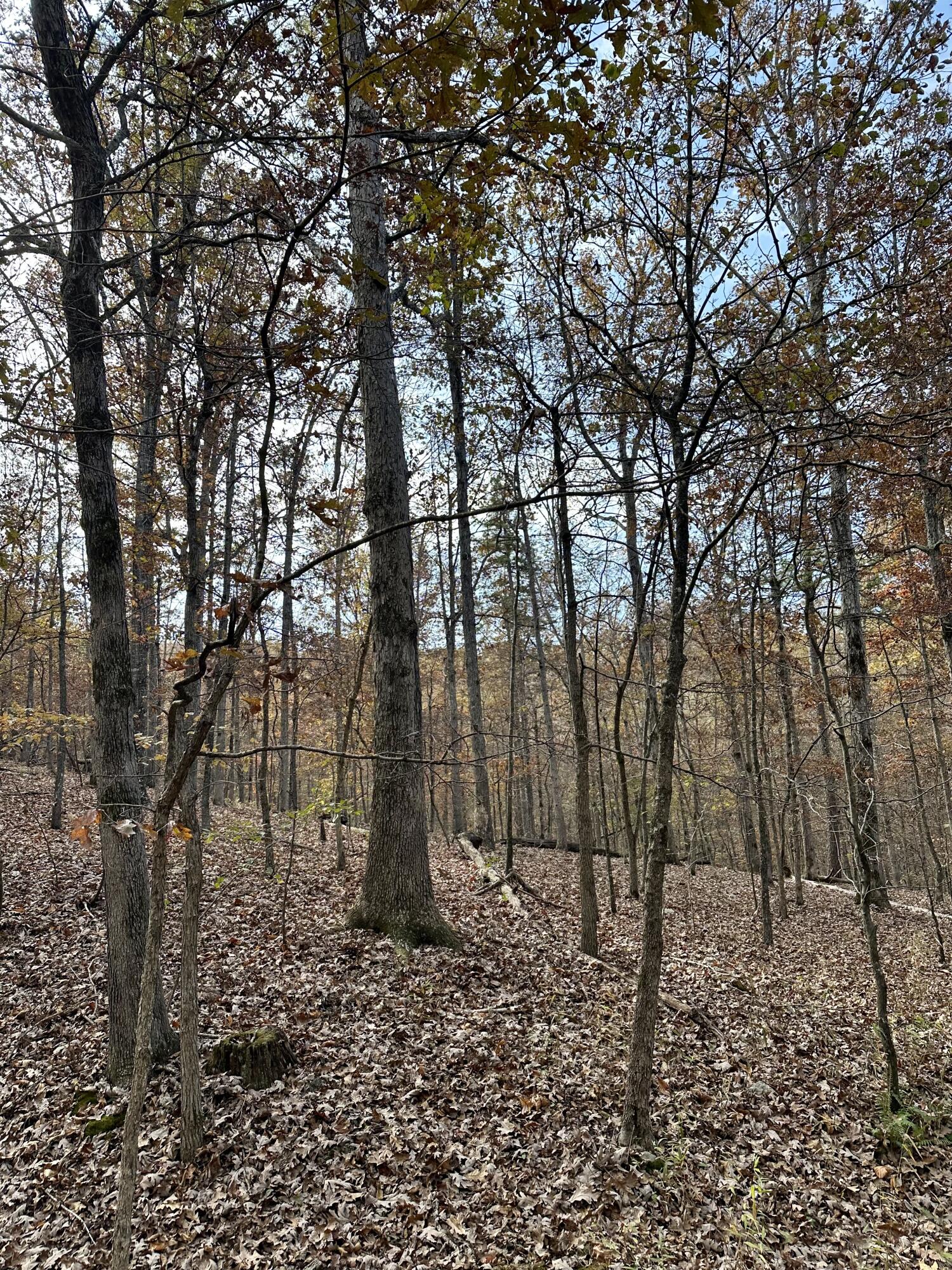 000 Z Highway Property Photo 6
