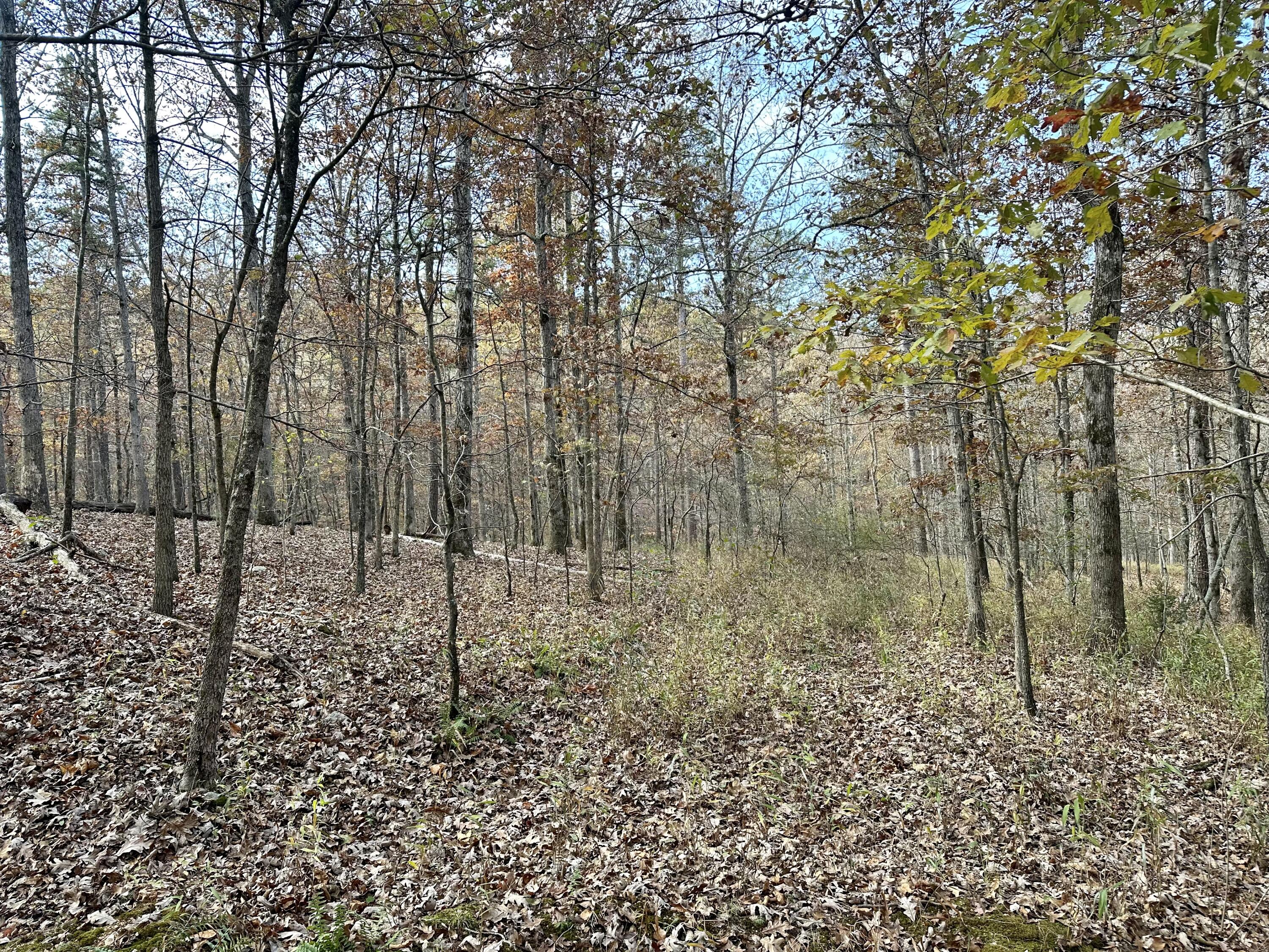 000 Z Highway Property Photo 7