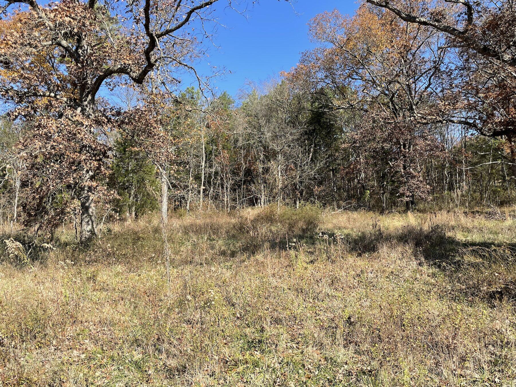 000 County Road 305 Property Photo 3