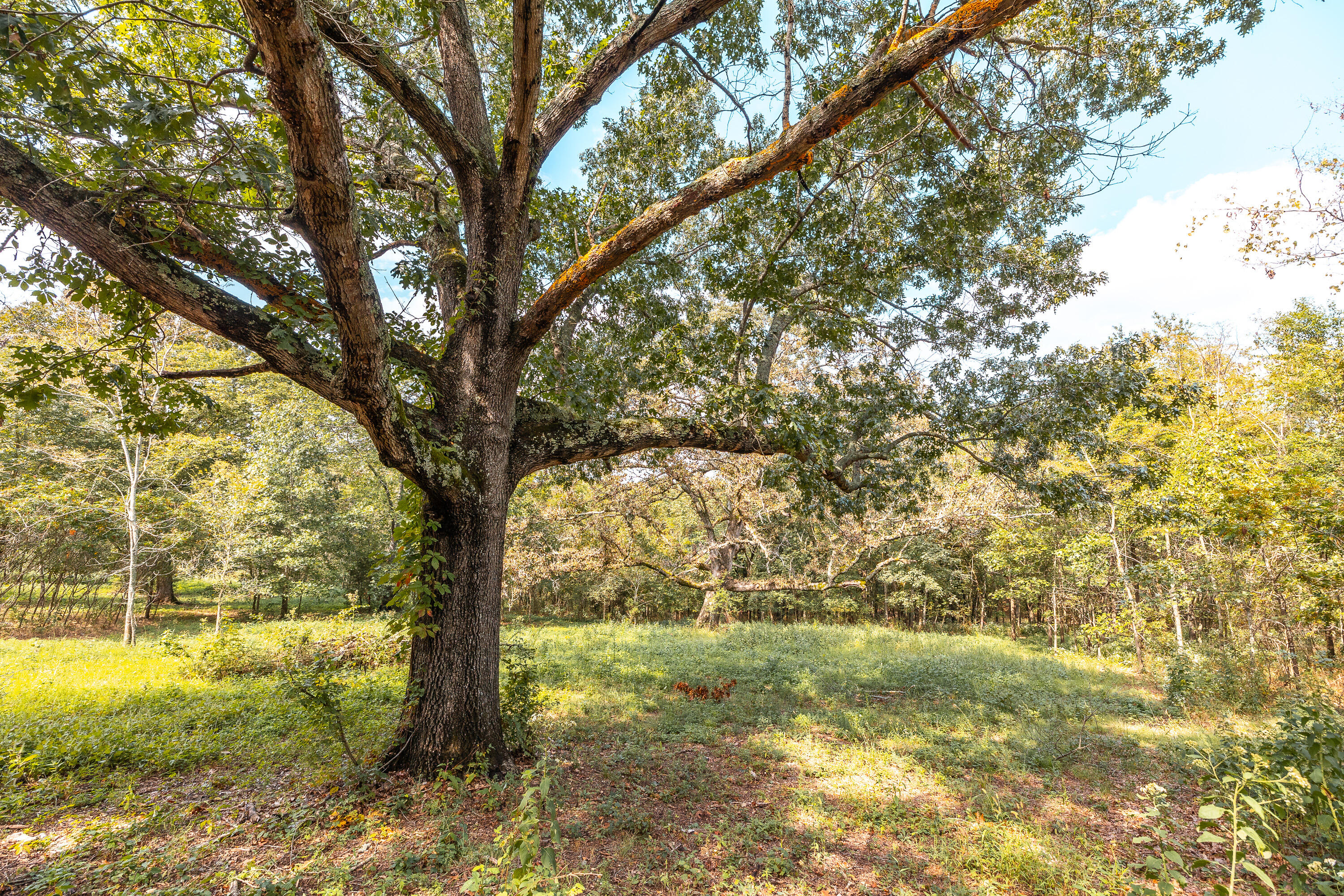 000 Farm Road 1278 Property Photo 4
