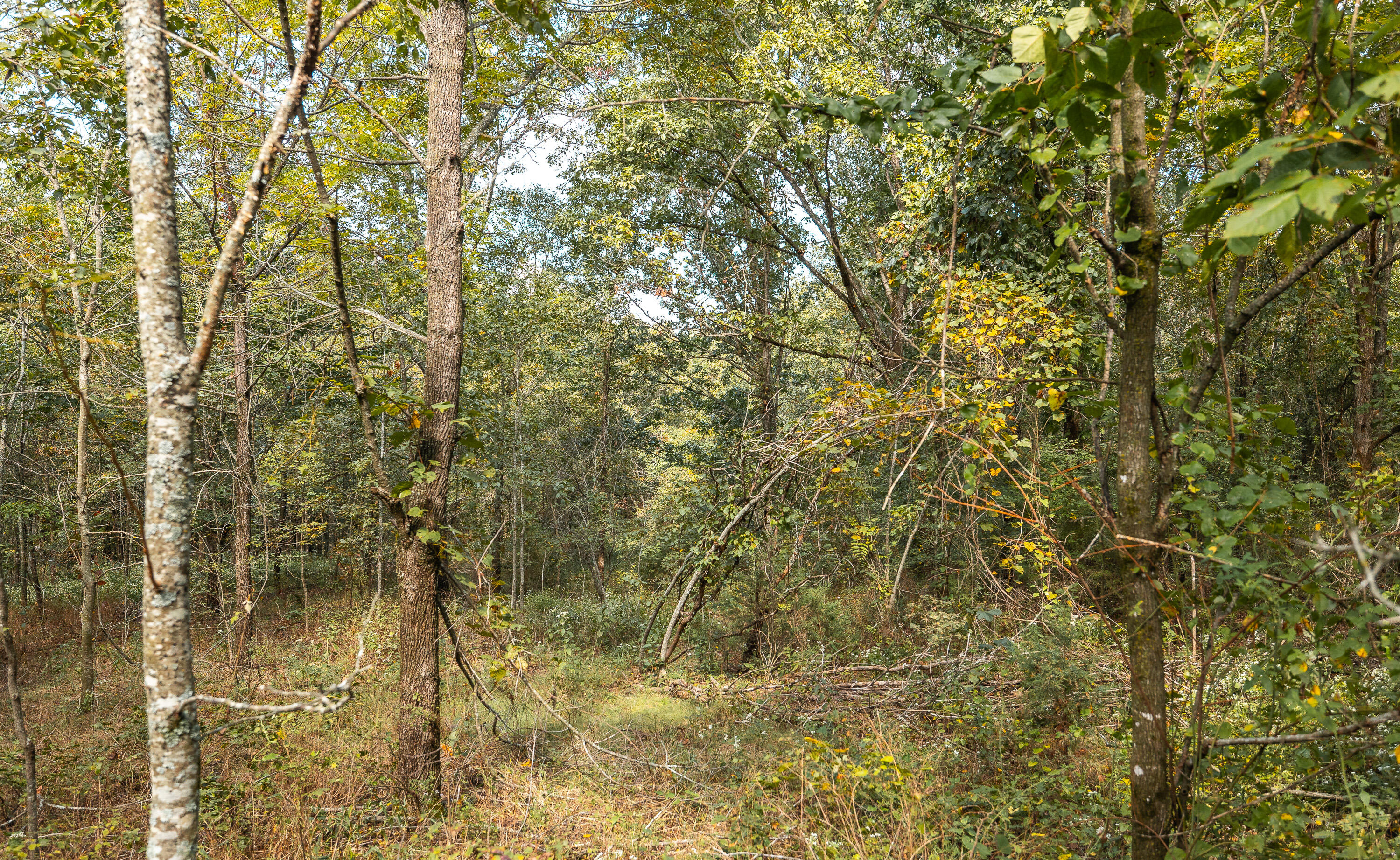 000 Farm Road 1278 Property Photo 8