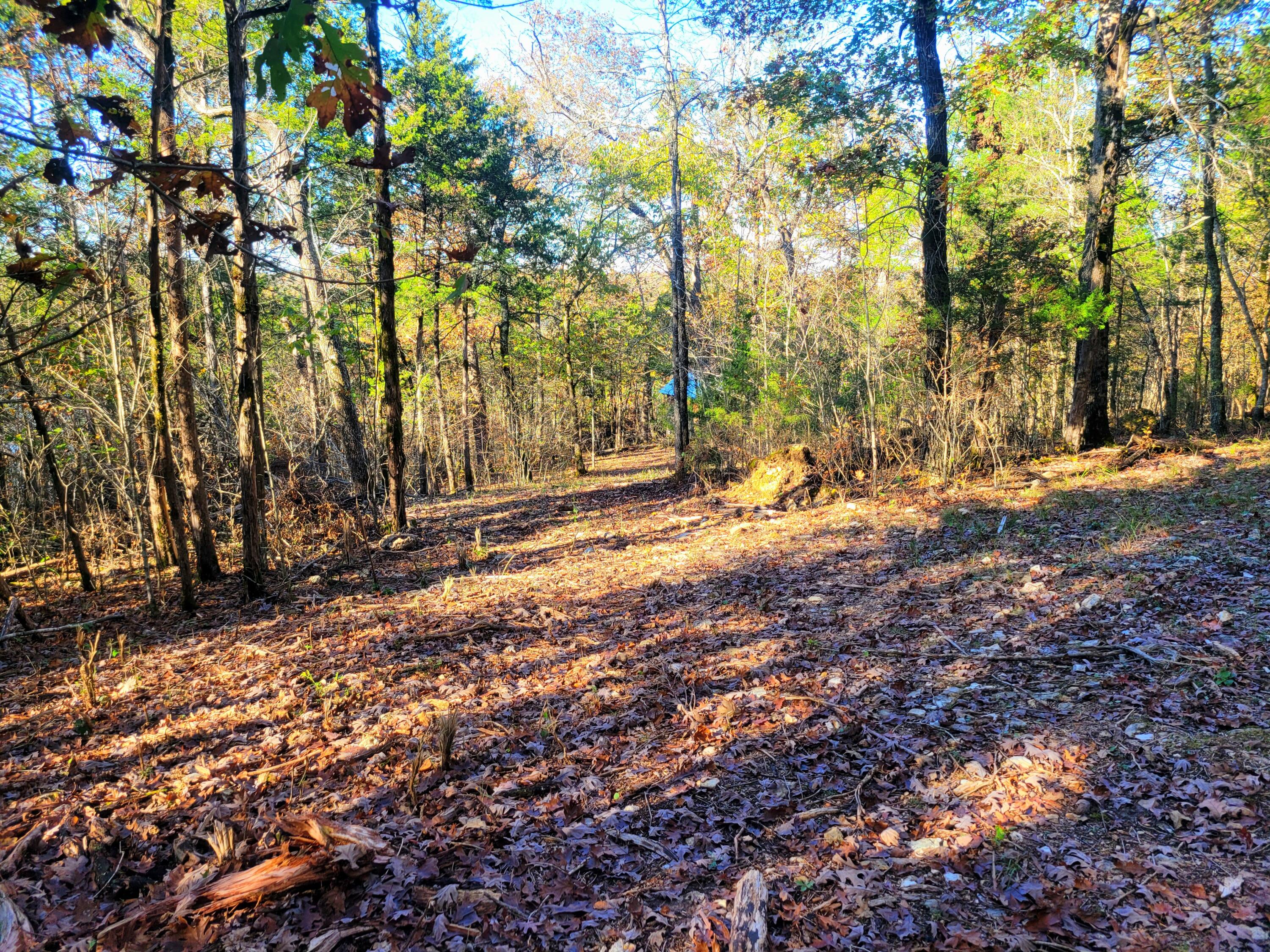 000 Belland Road Property Photo 2