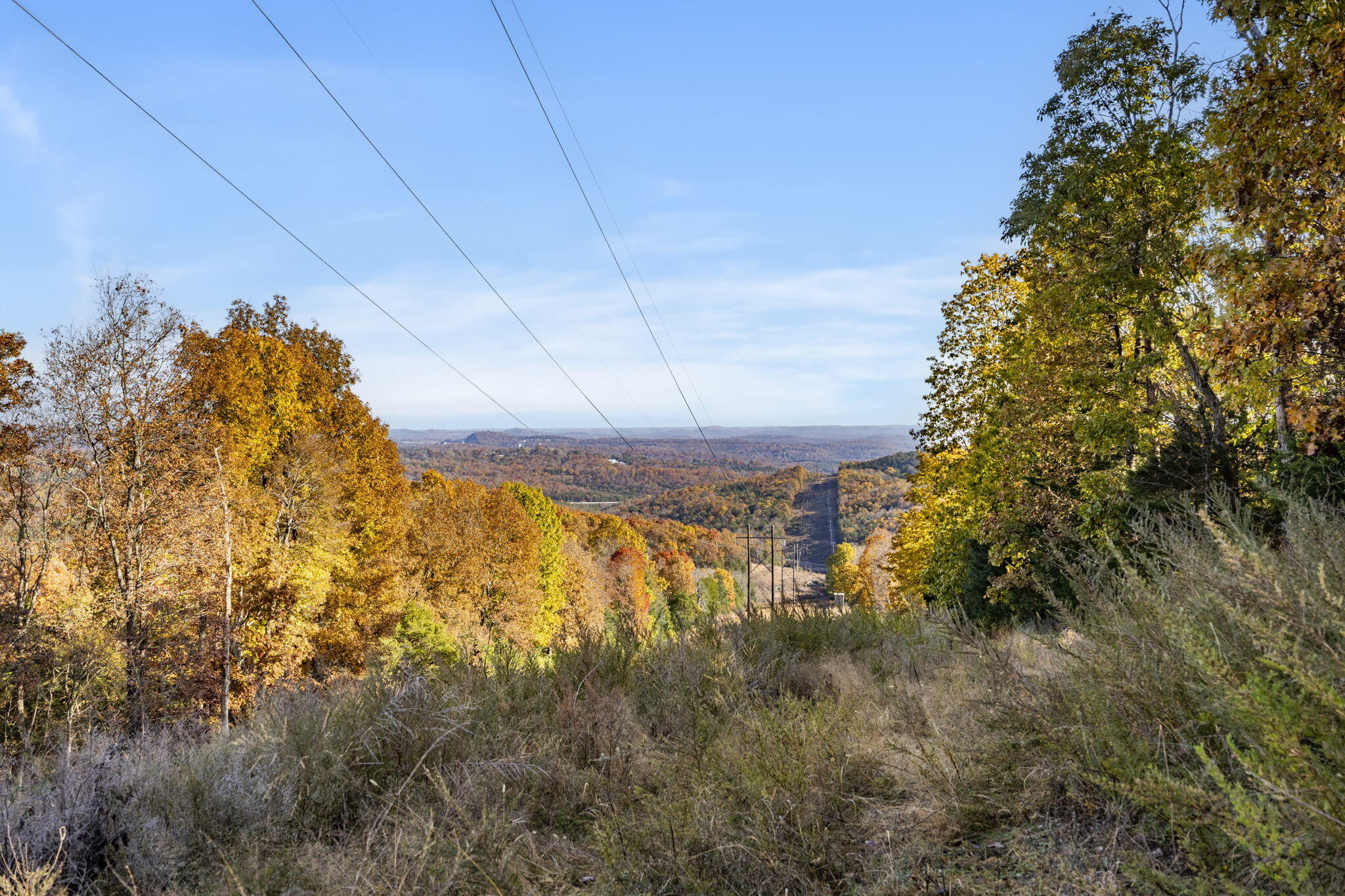 1584 Buchanan Road Property Photo 3