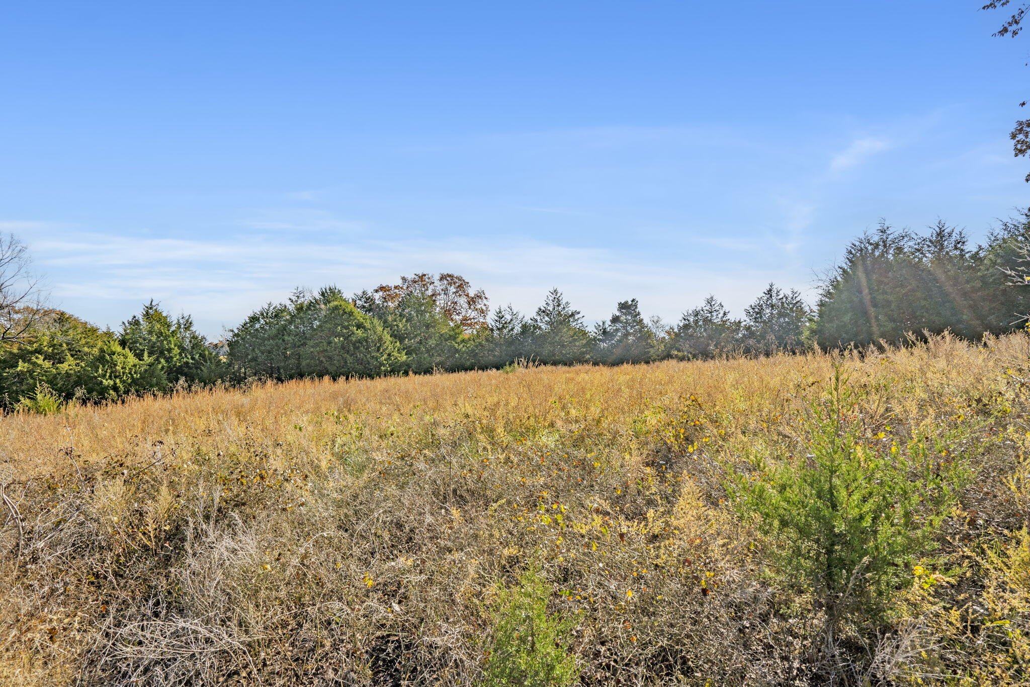 1584 Buchanan Road Property Photo 4