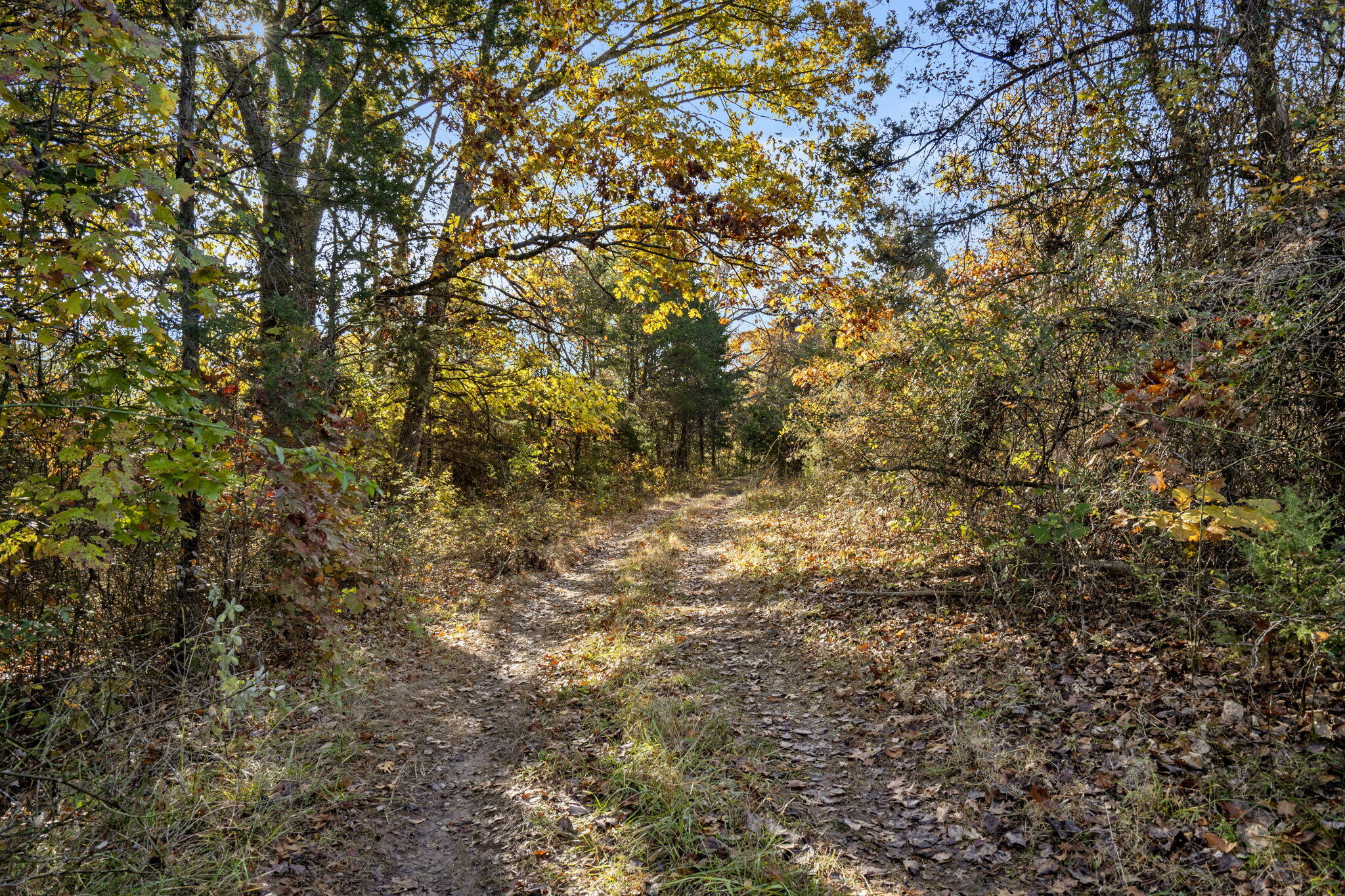 1584 Buchanan Road Property Photo 6