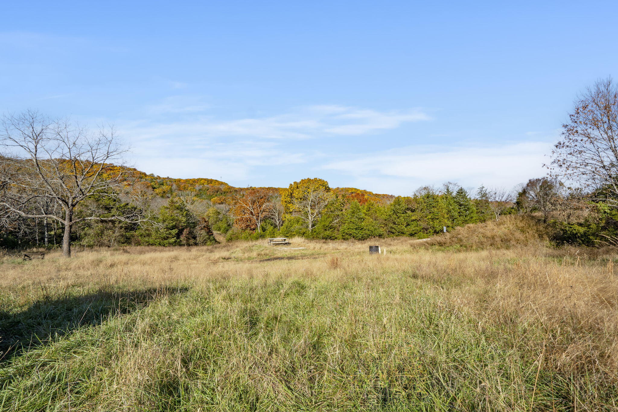 1584 Buchanan Road Property Photo 8