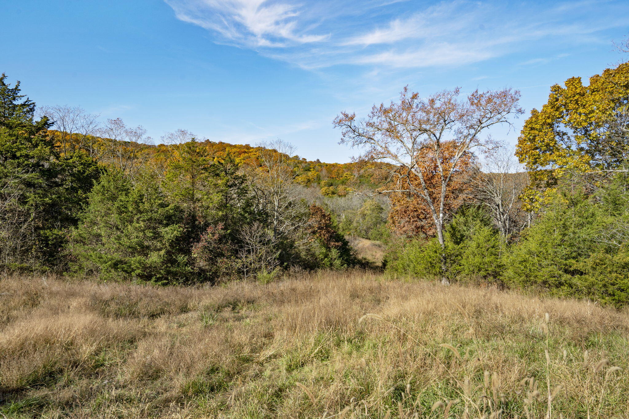1584 Buchanan Road Property Photo 10