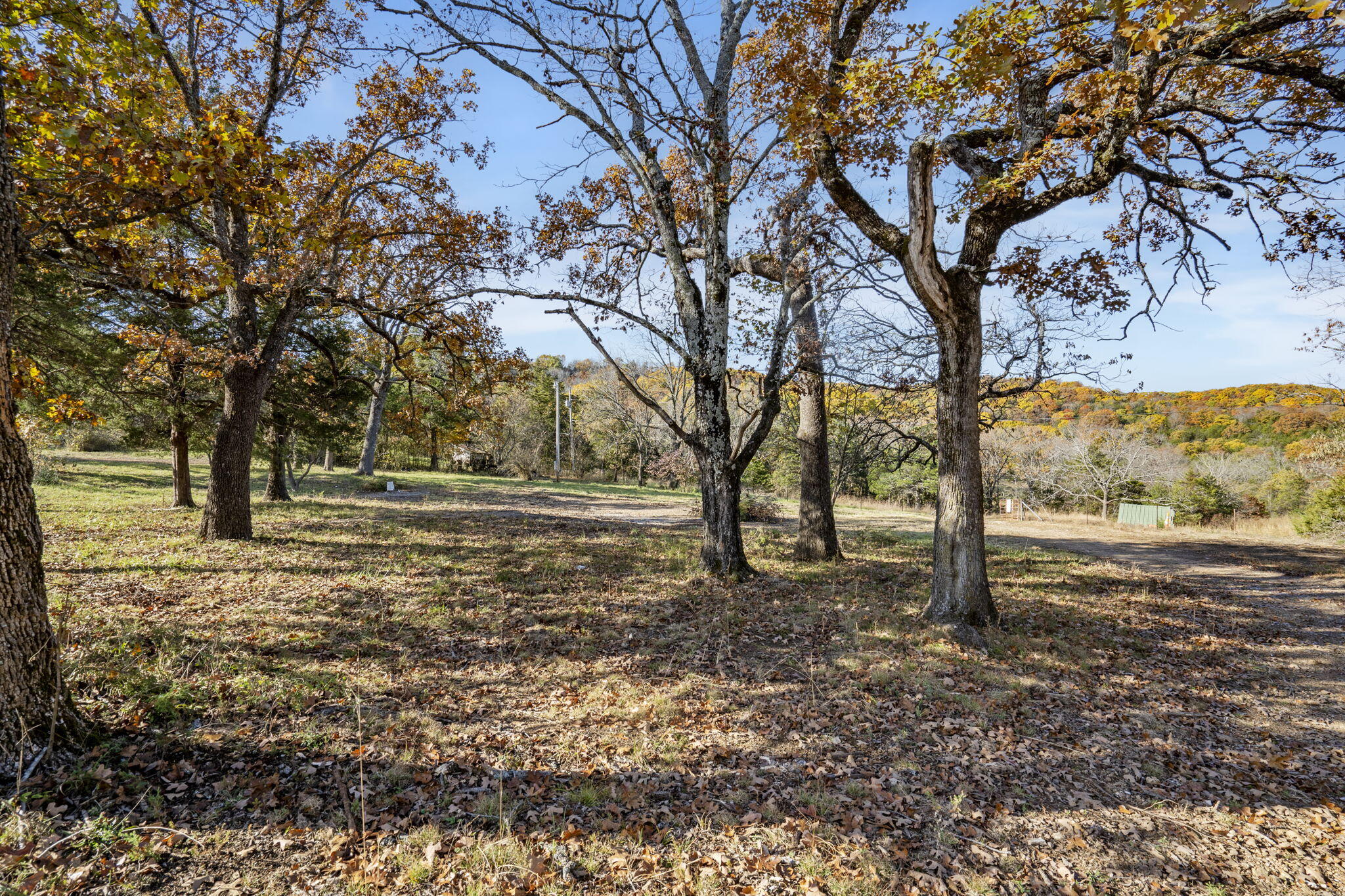 1584 Buchanan Road Property Photo 12