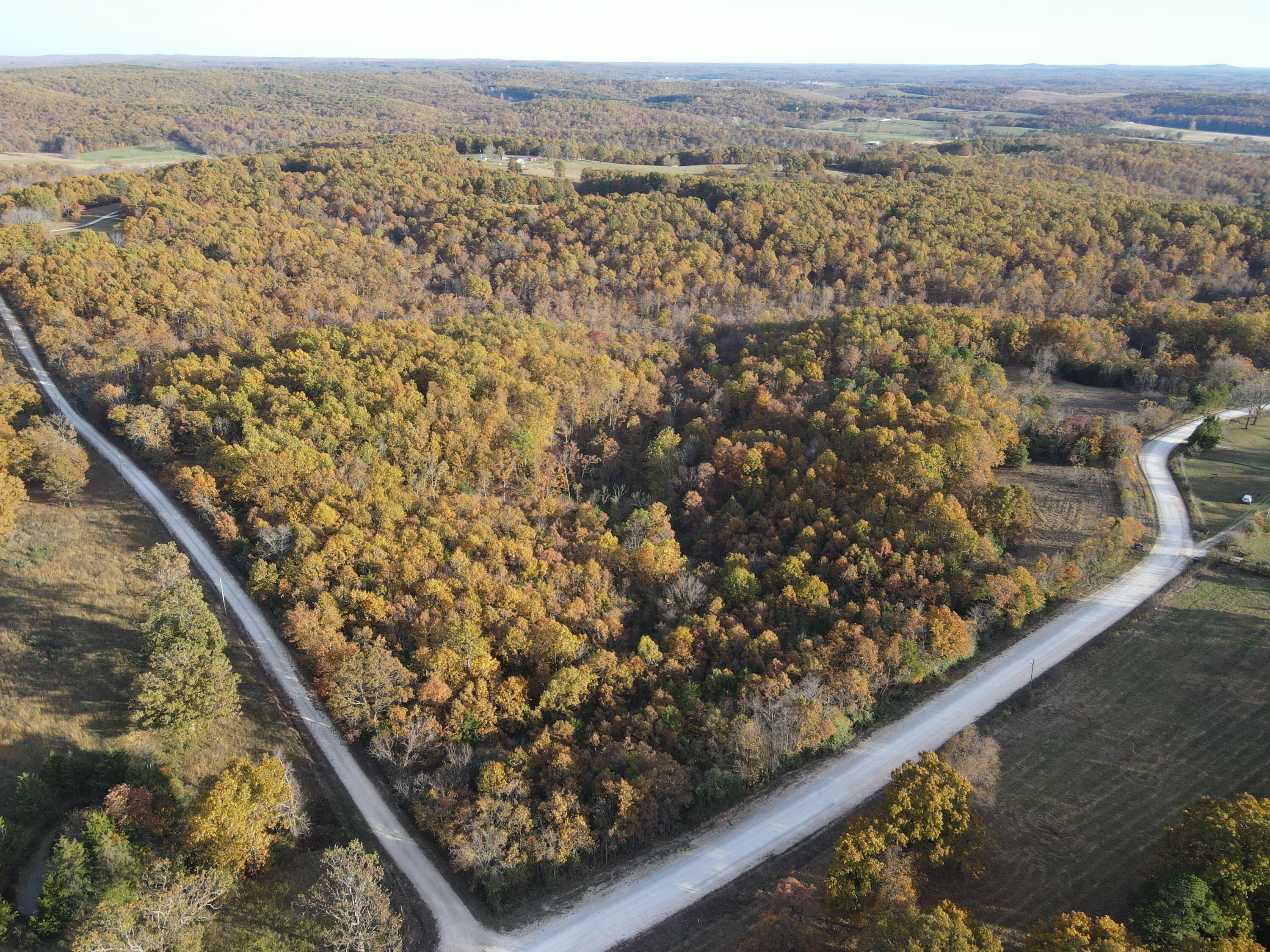 000 King Road Property Photo 1