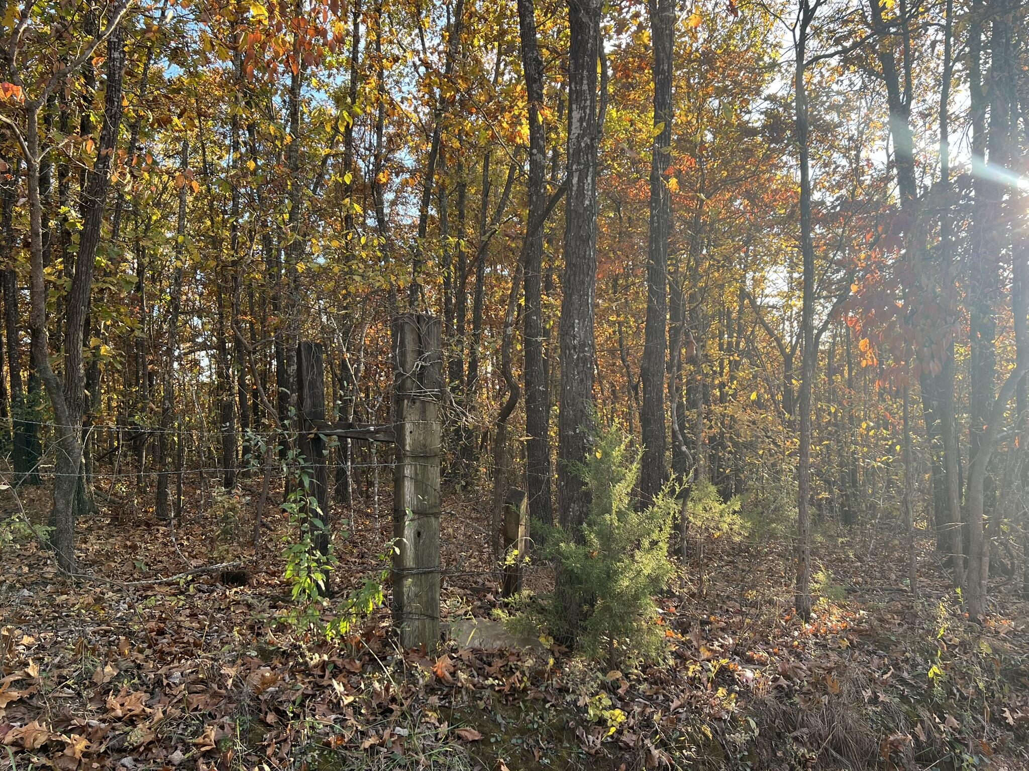 000 King Road Property Photo 5