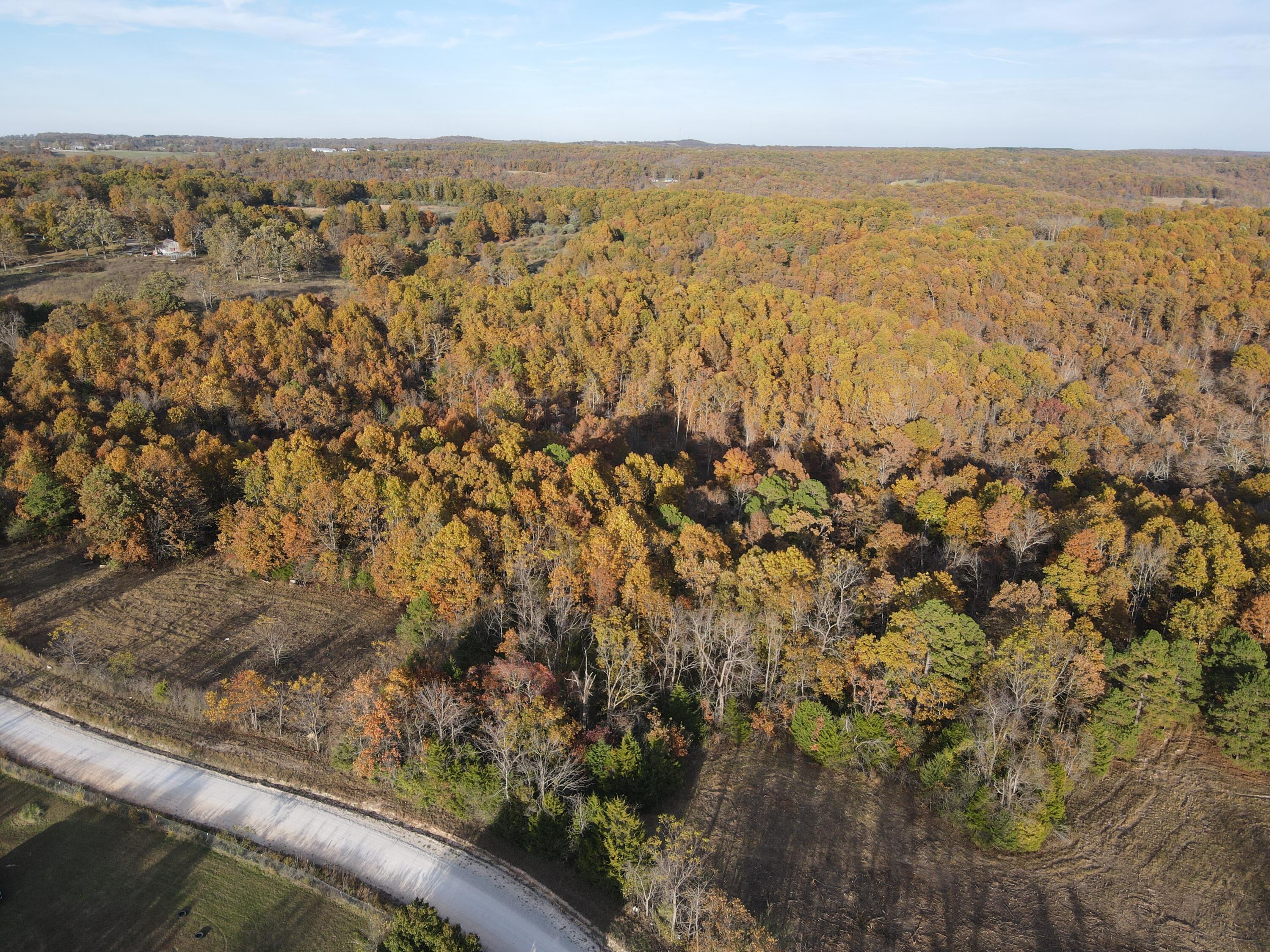 000 King Road Property Photo 10