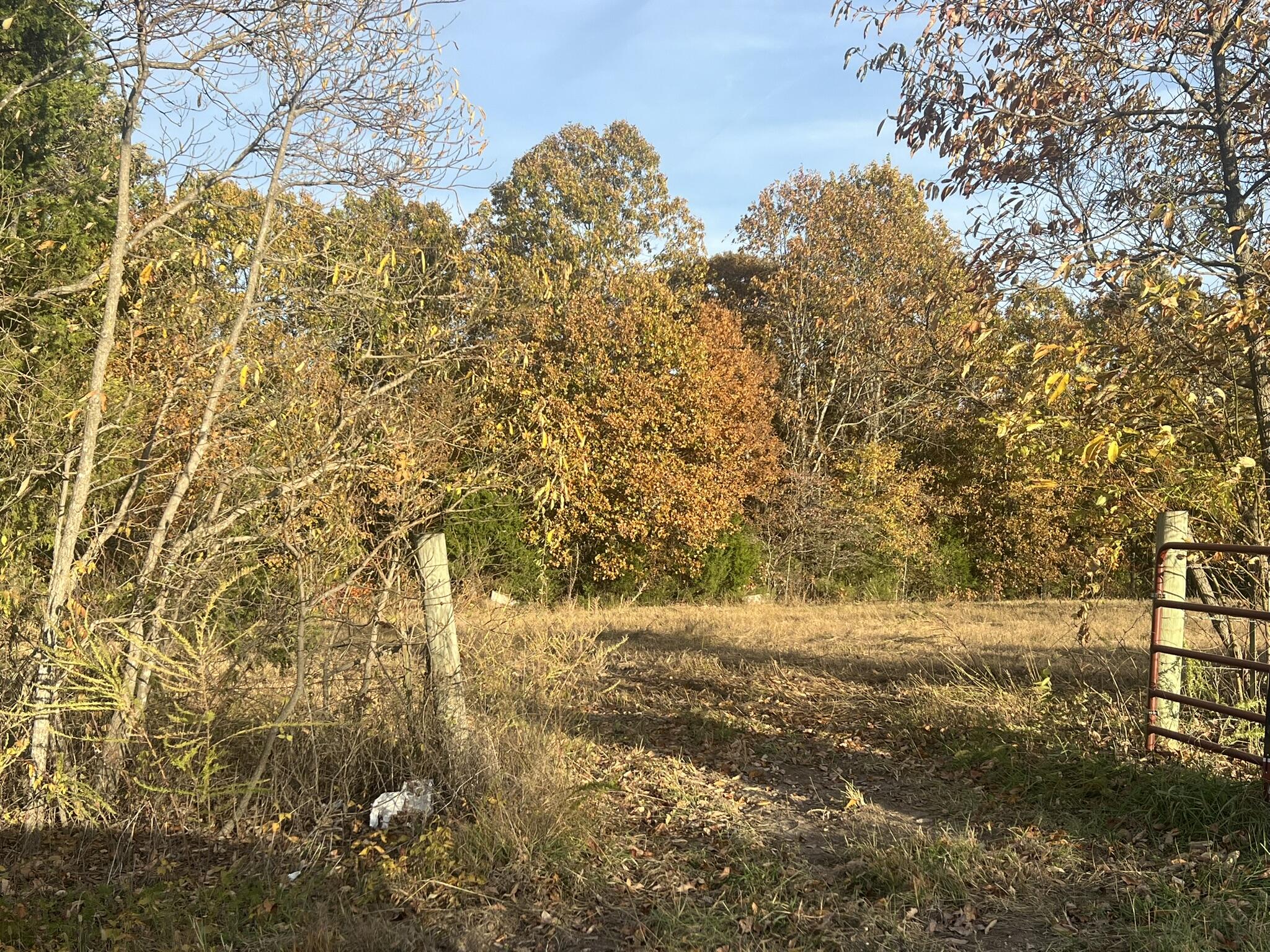 000 King Road Property Photo 12