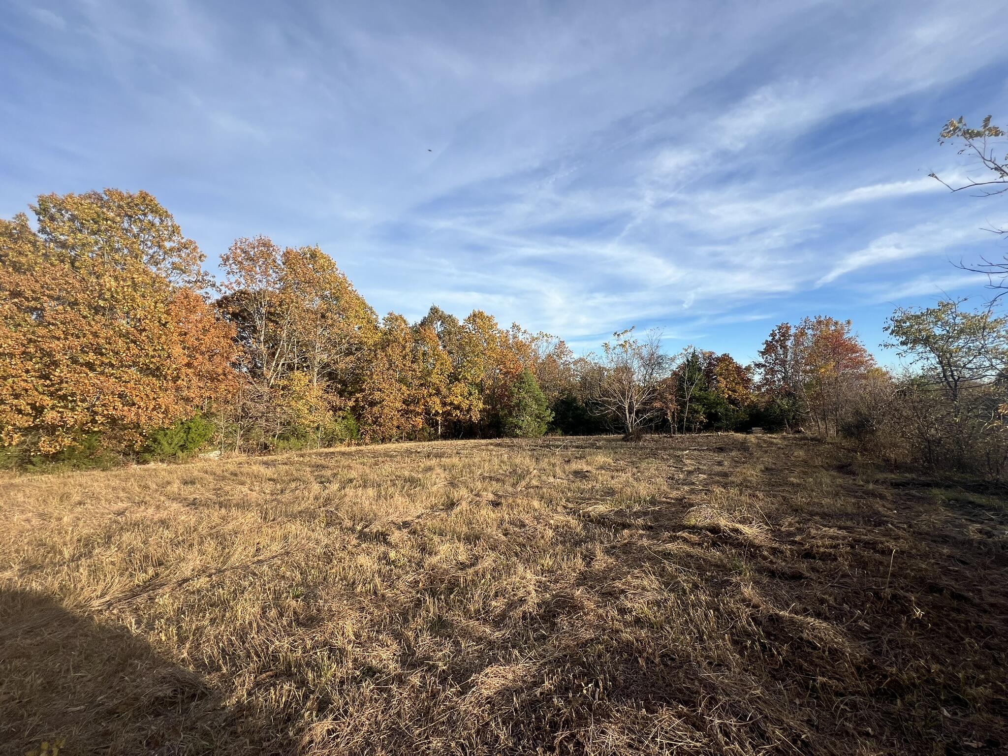 000 King Road Property Photo 13