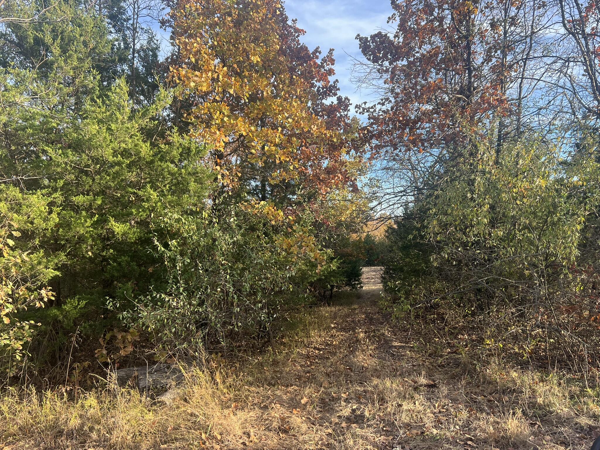 000 King Road Property Photo 14