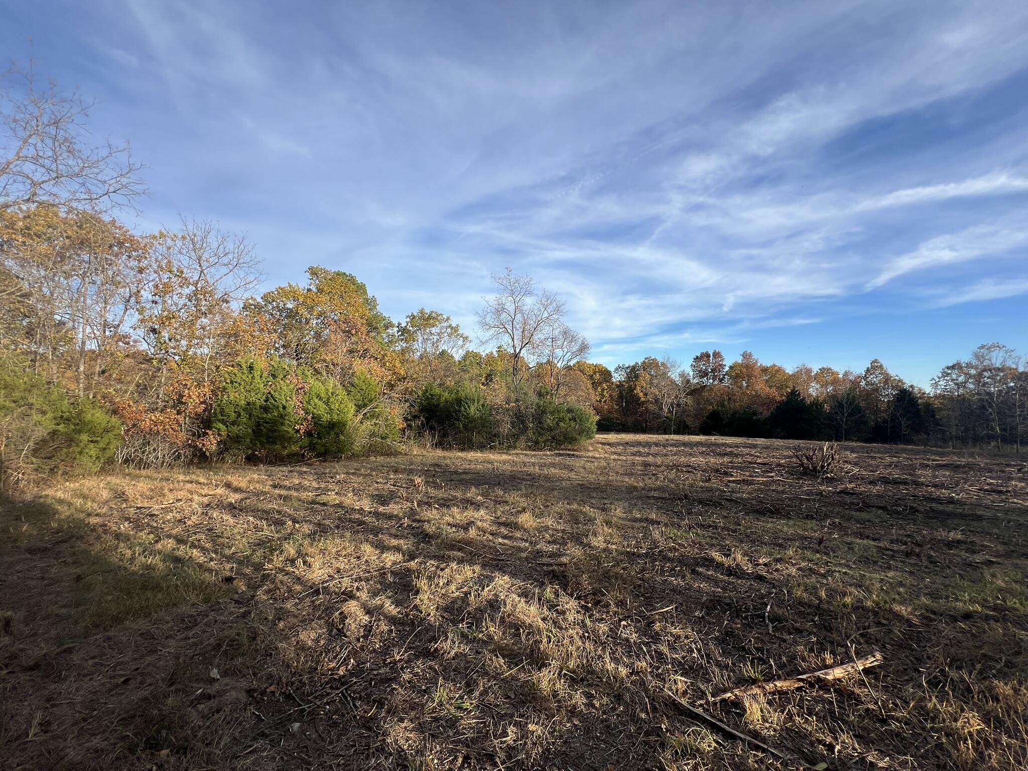 000 King Road Property Photo 15