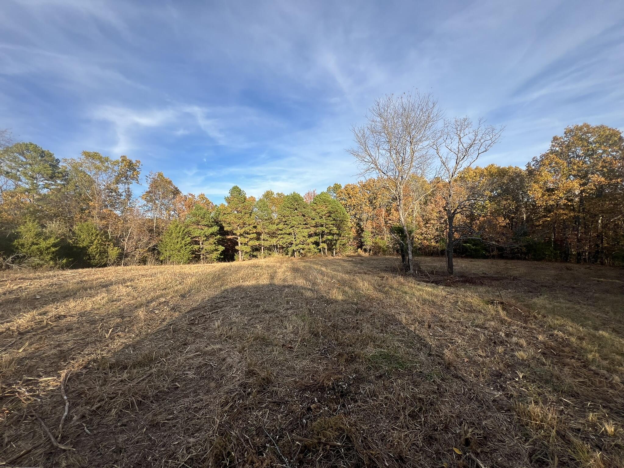 000 King Road Property Photo 16