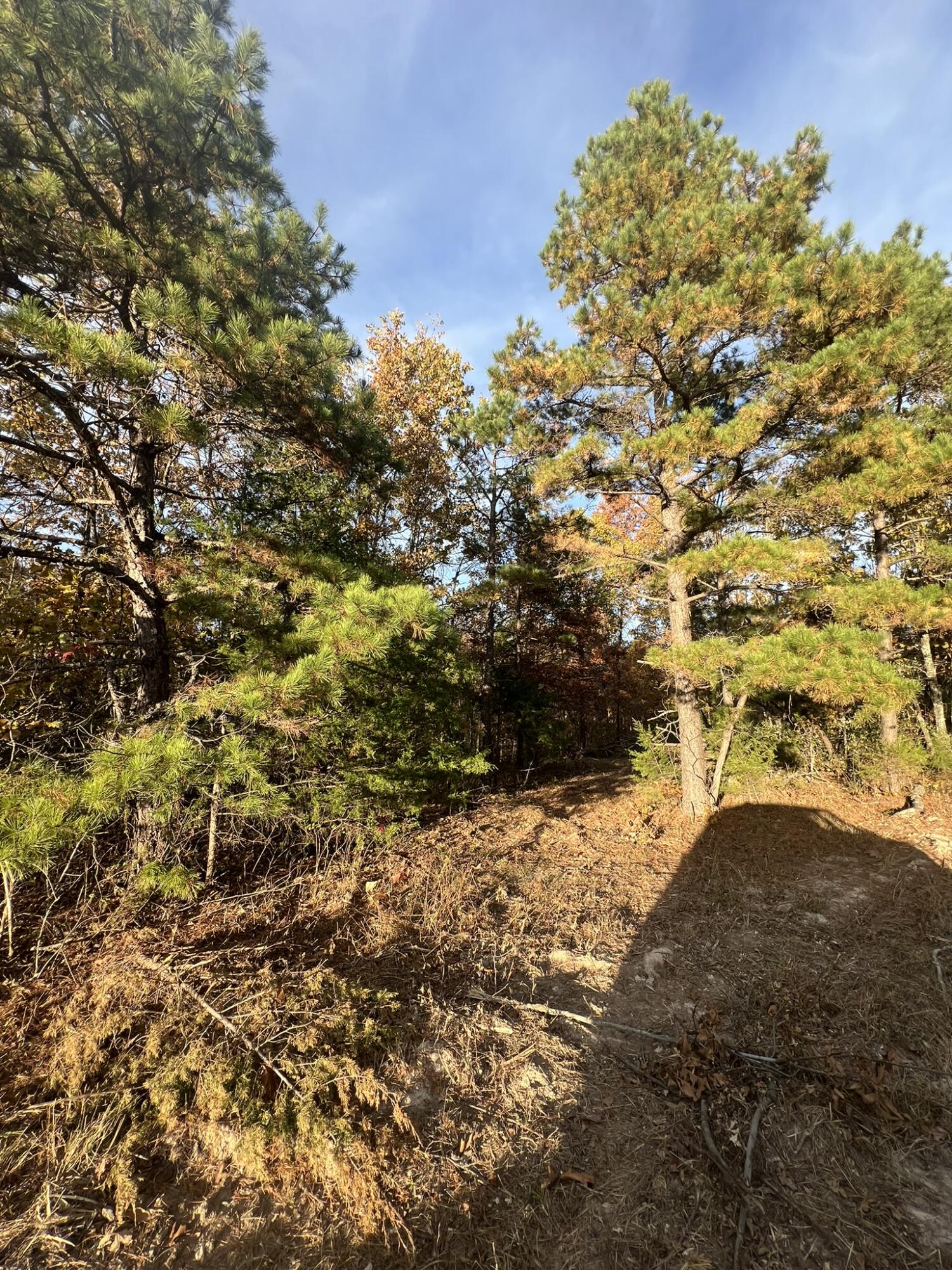 000 King Road Property Photo 17