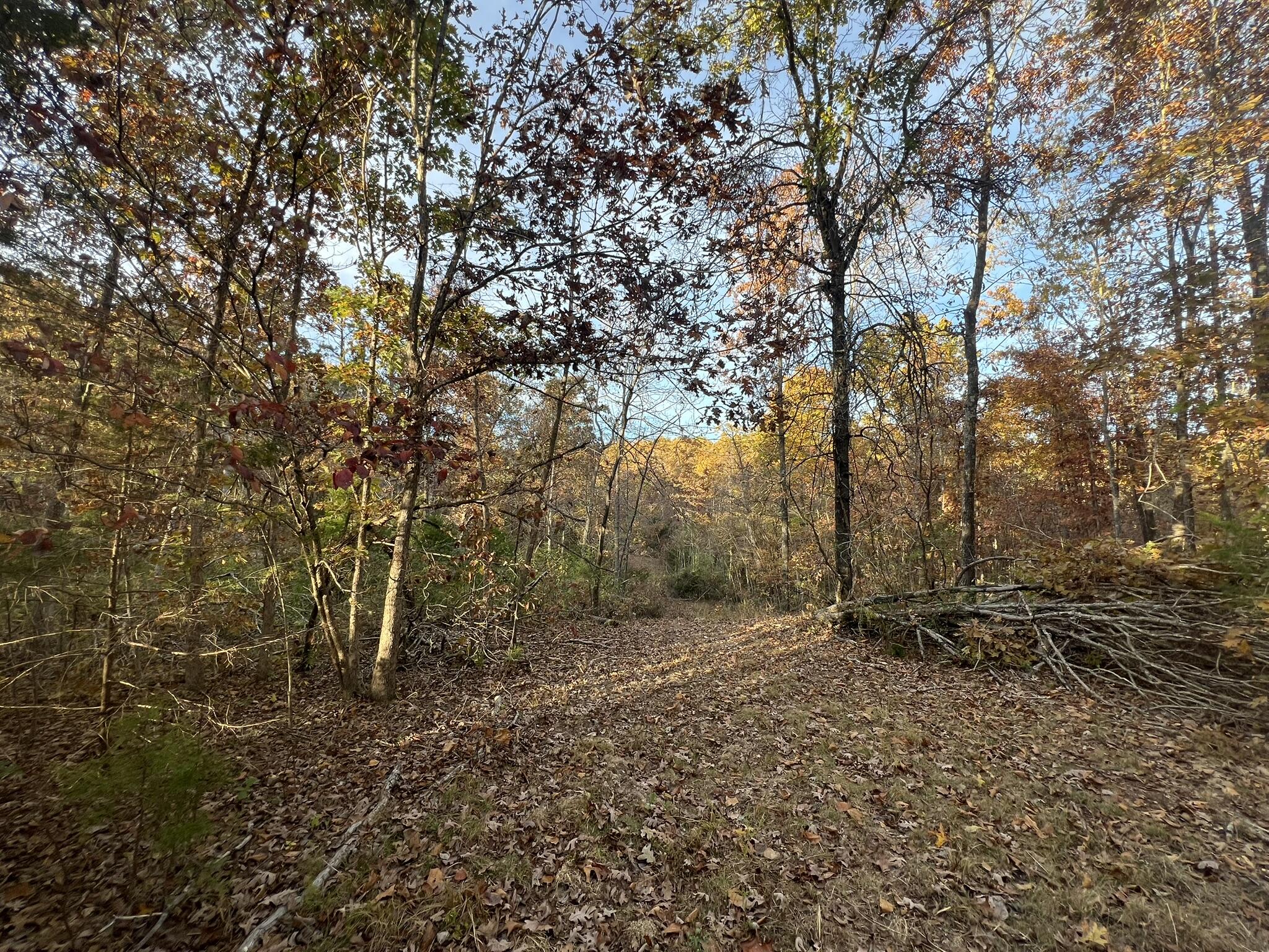 000 King Road Property Photo 18