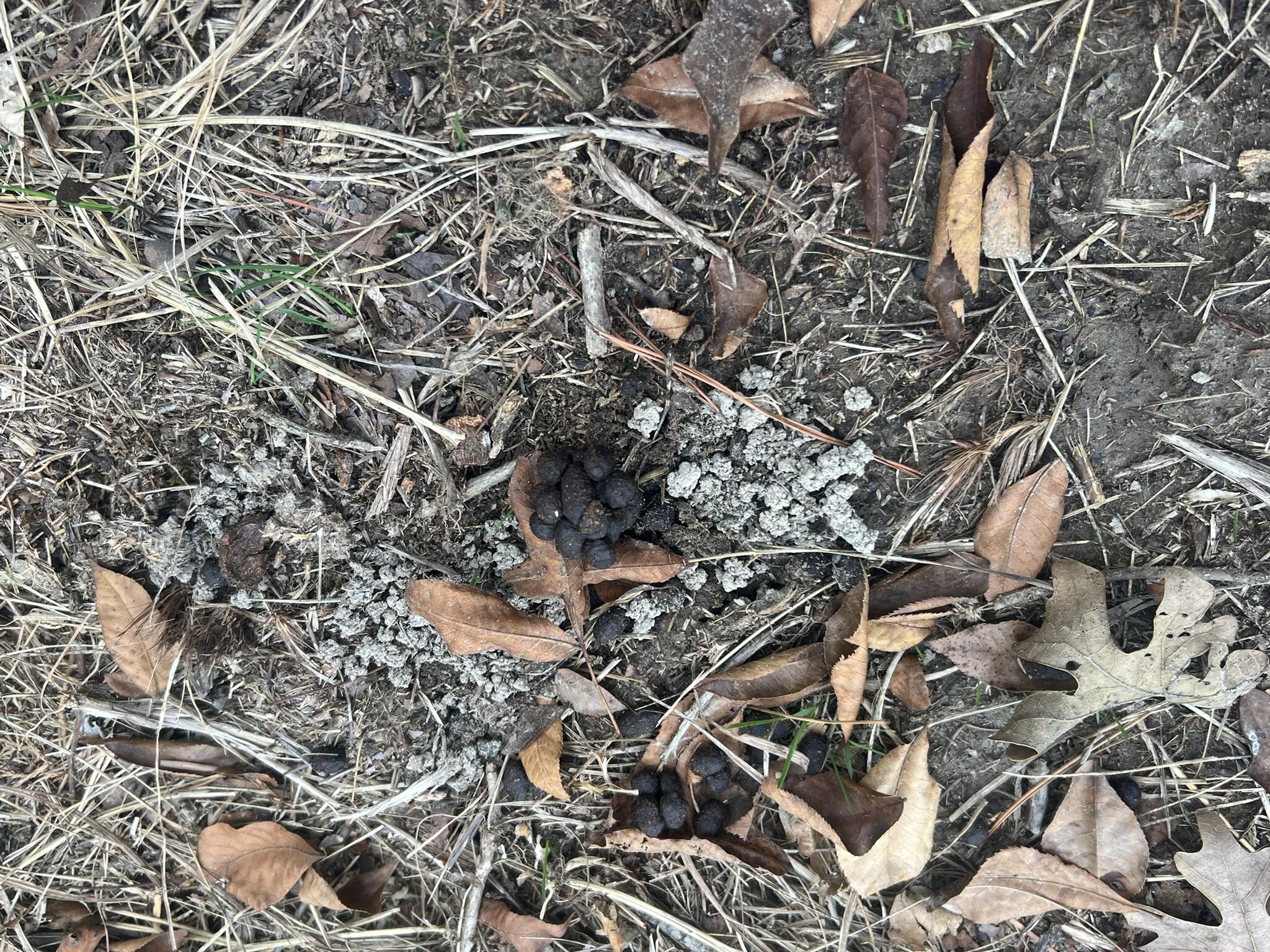 000 King Road Property Photo 19