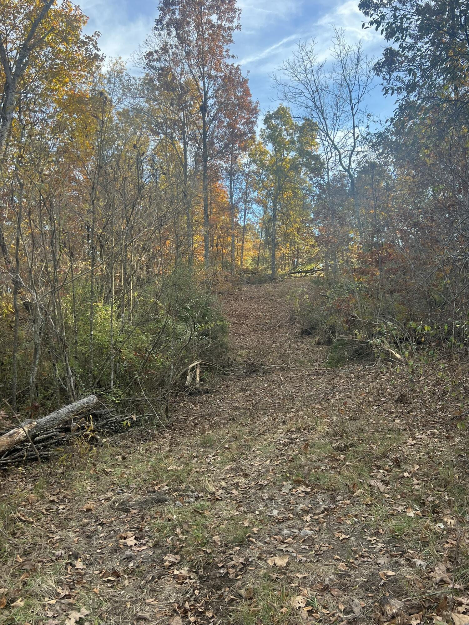 000 King Road Property Photo 20