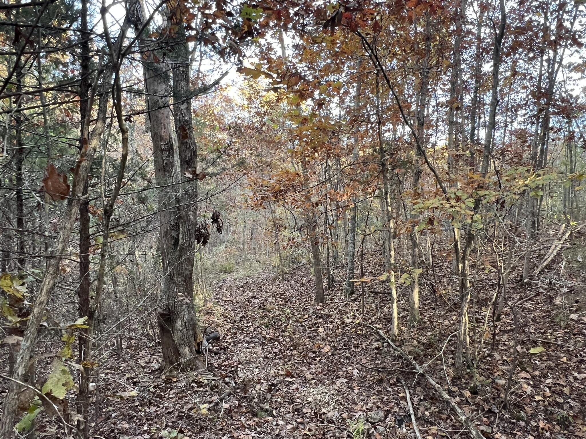 000 King Road Property Photo 21