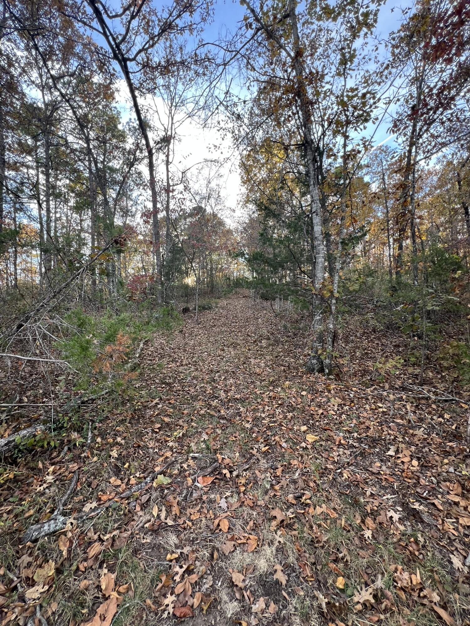 000 King Road Property Photo 22