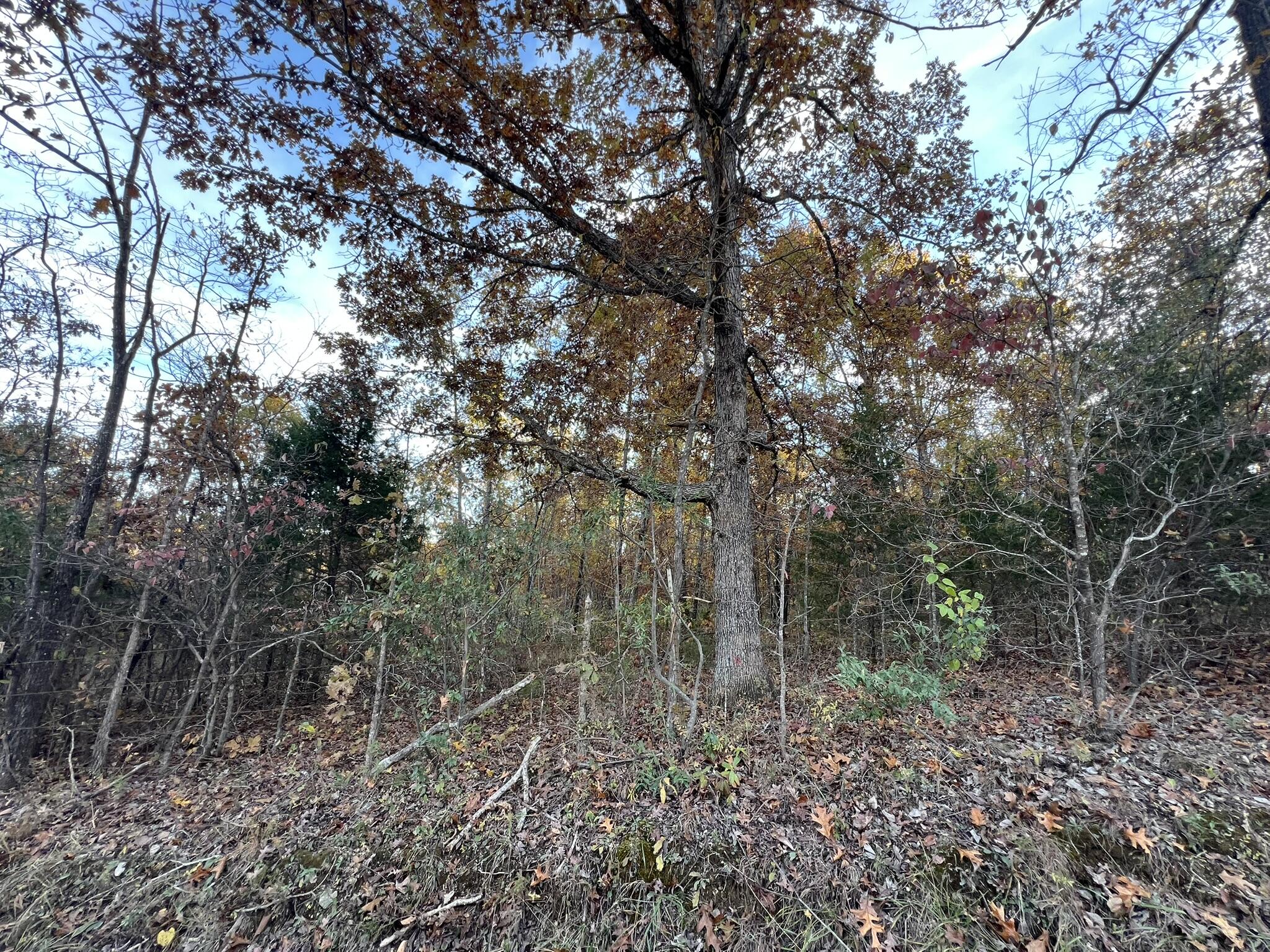 000 King Road Property Photo 25