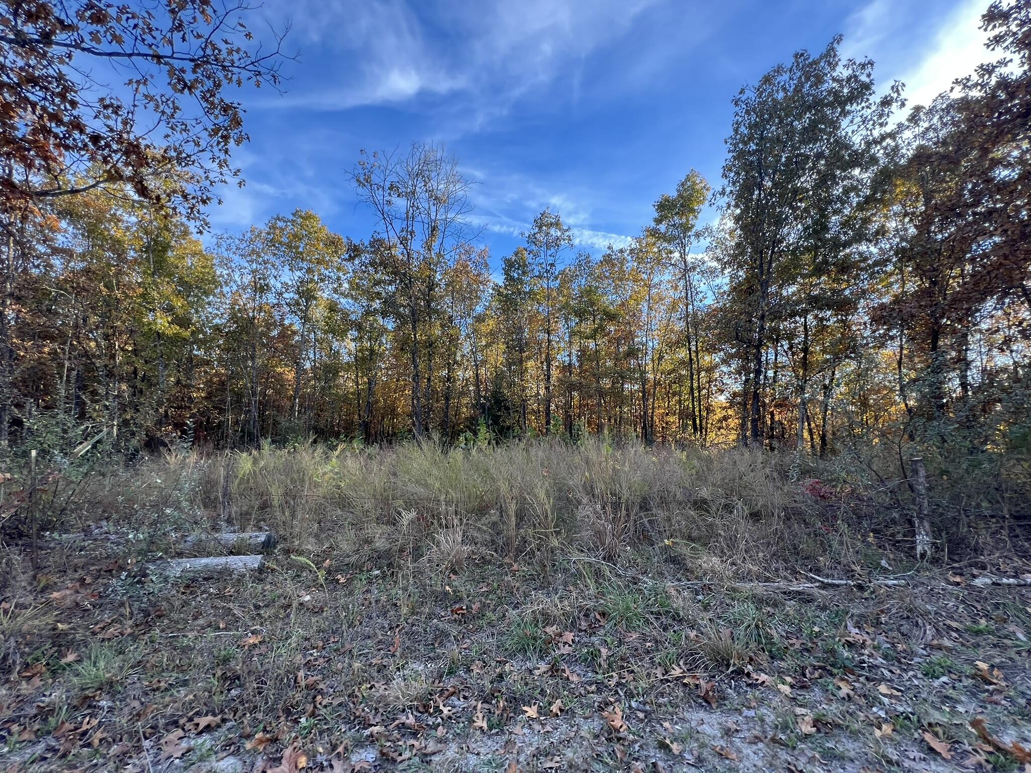 000 King Road Property Photo 26