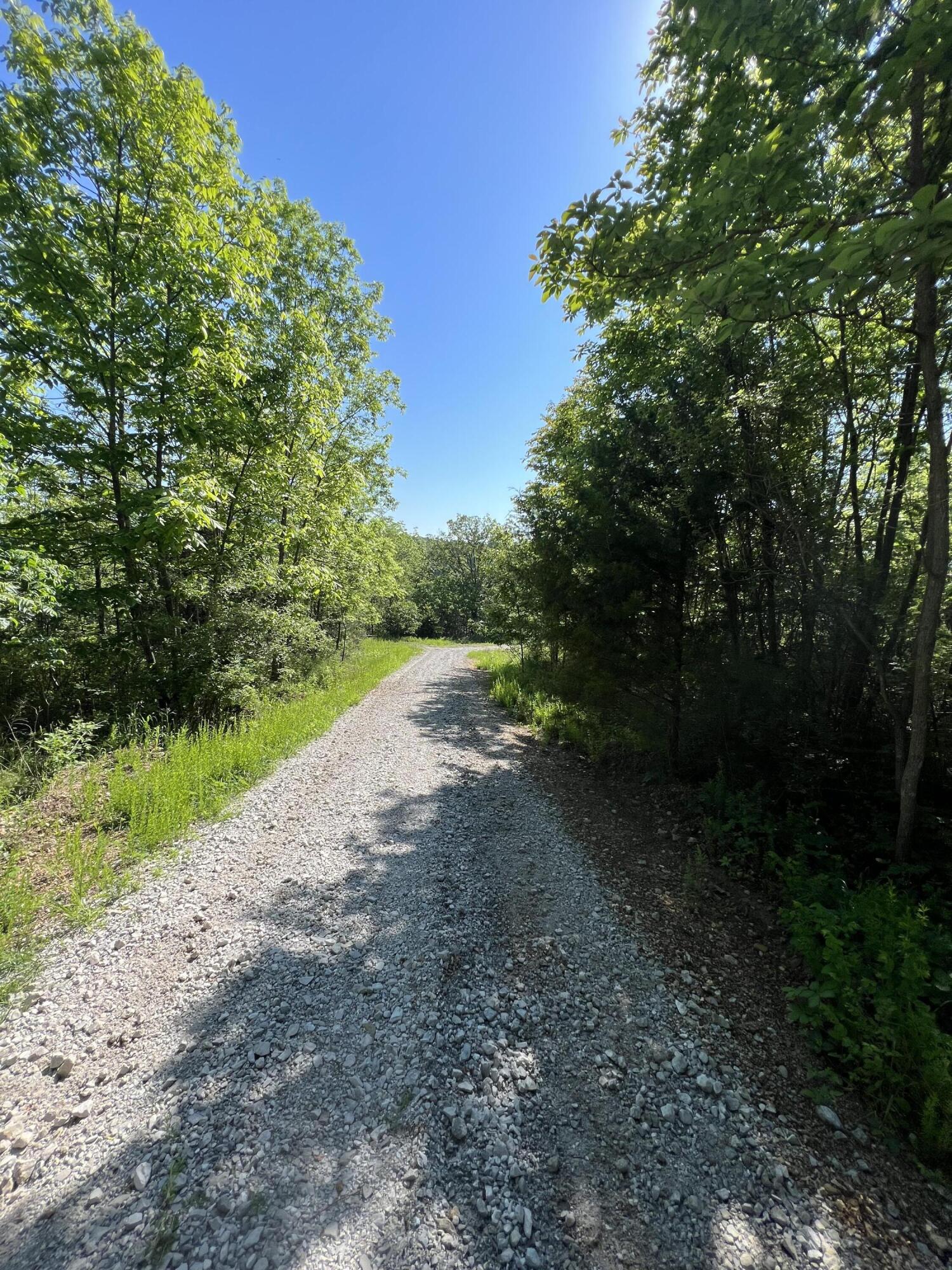 Lot 14 County Road 116 Property Photo 3