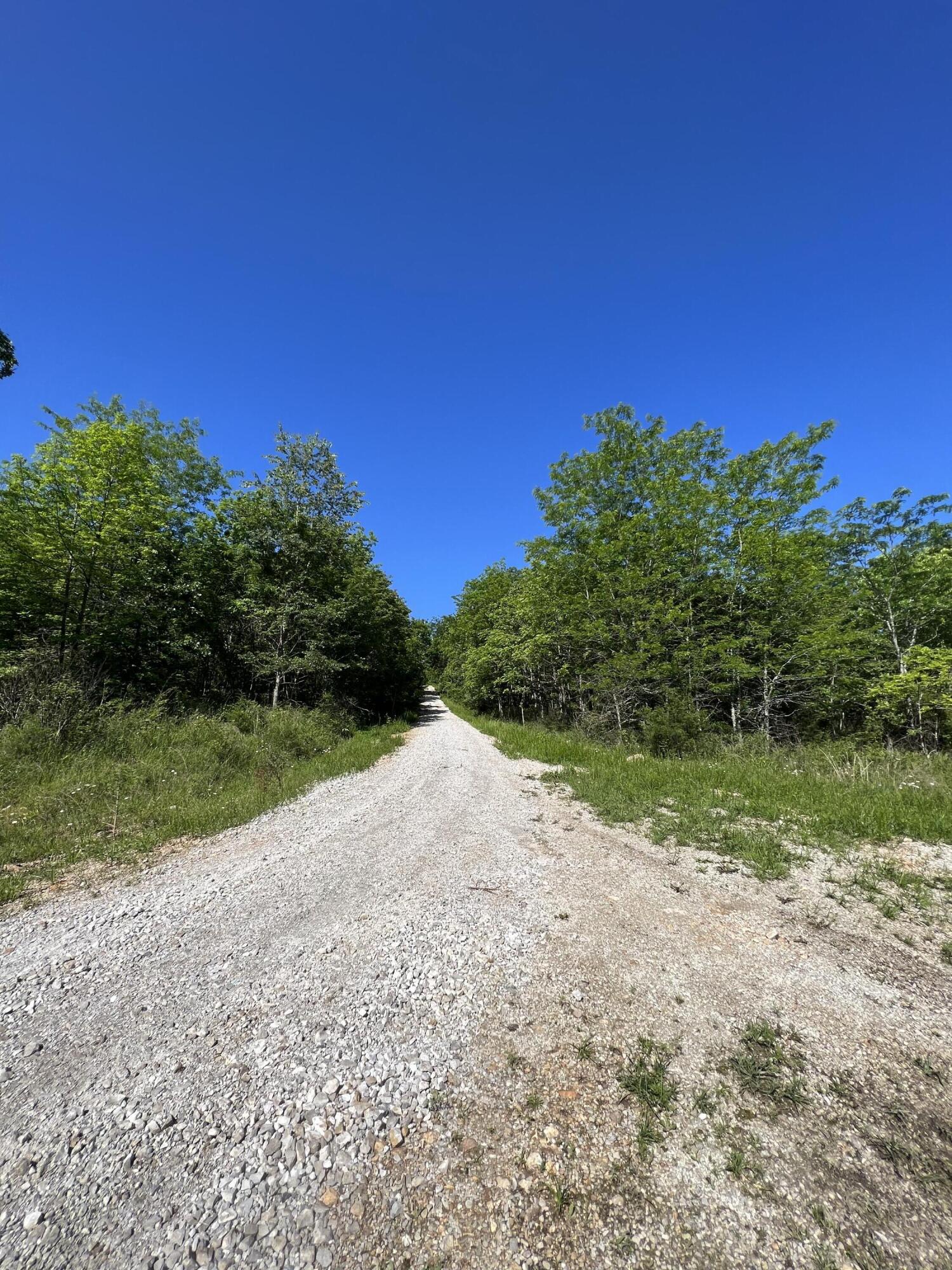 Lot 14 County Road 116 Property Photo 4
