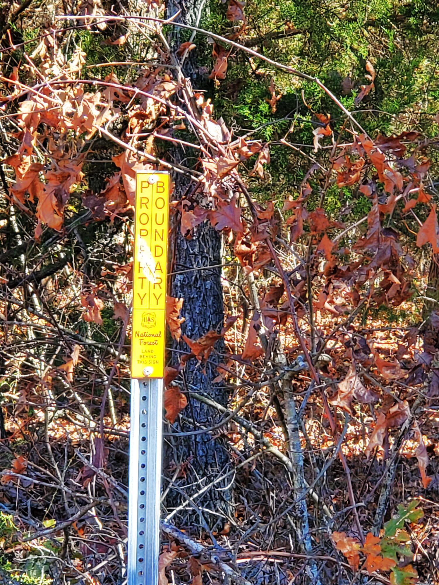 23952 State Hwy 76 Property Photo 2