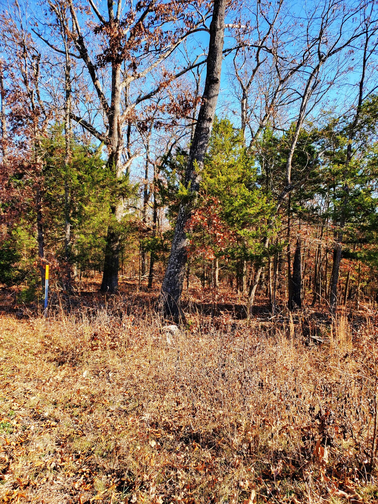 23952 State Hwy 76 Property Photo 3