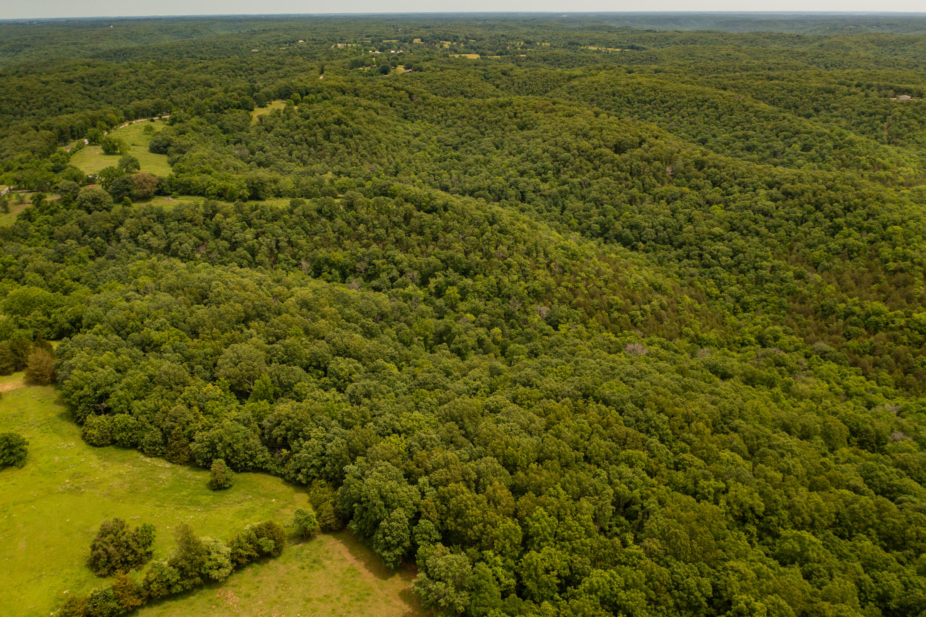 Tbd-1 Logan Ridge Road Property Photo 4