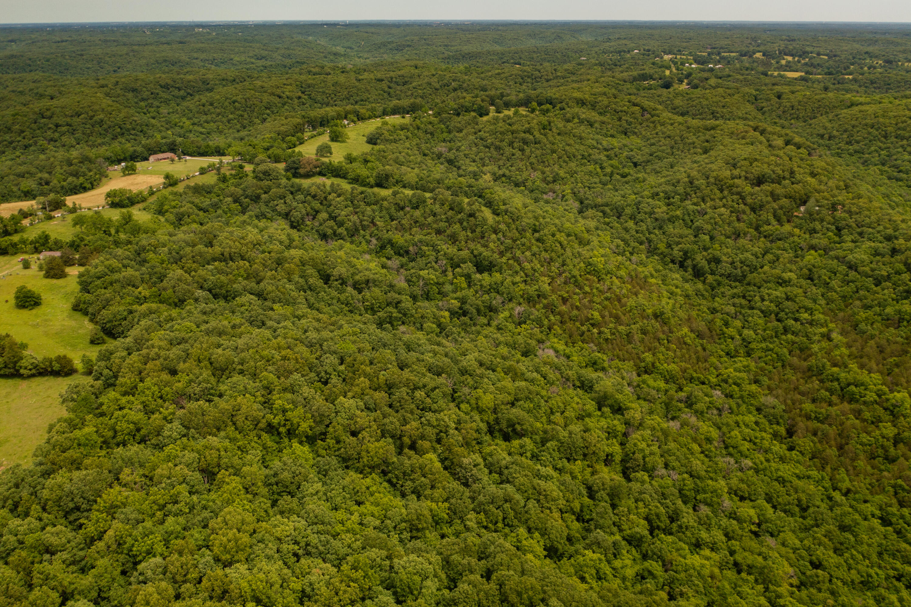 Tbd-1 Logan Ridge Road Property Photo 5